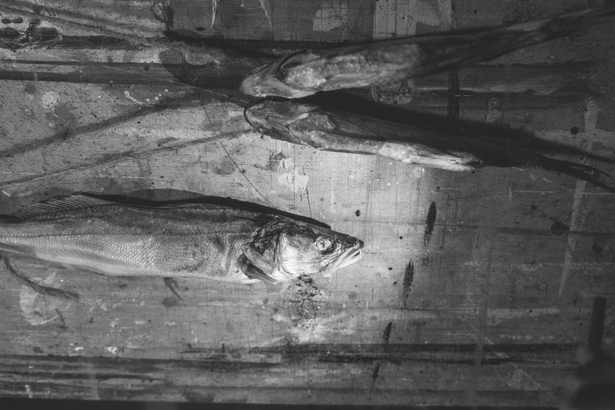 Маленькая вводная о том, какие фотографии Станислава Пихтелева aka StanislavPi можно найти на сайте
