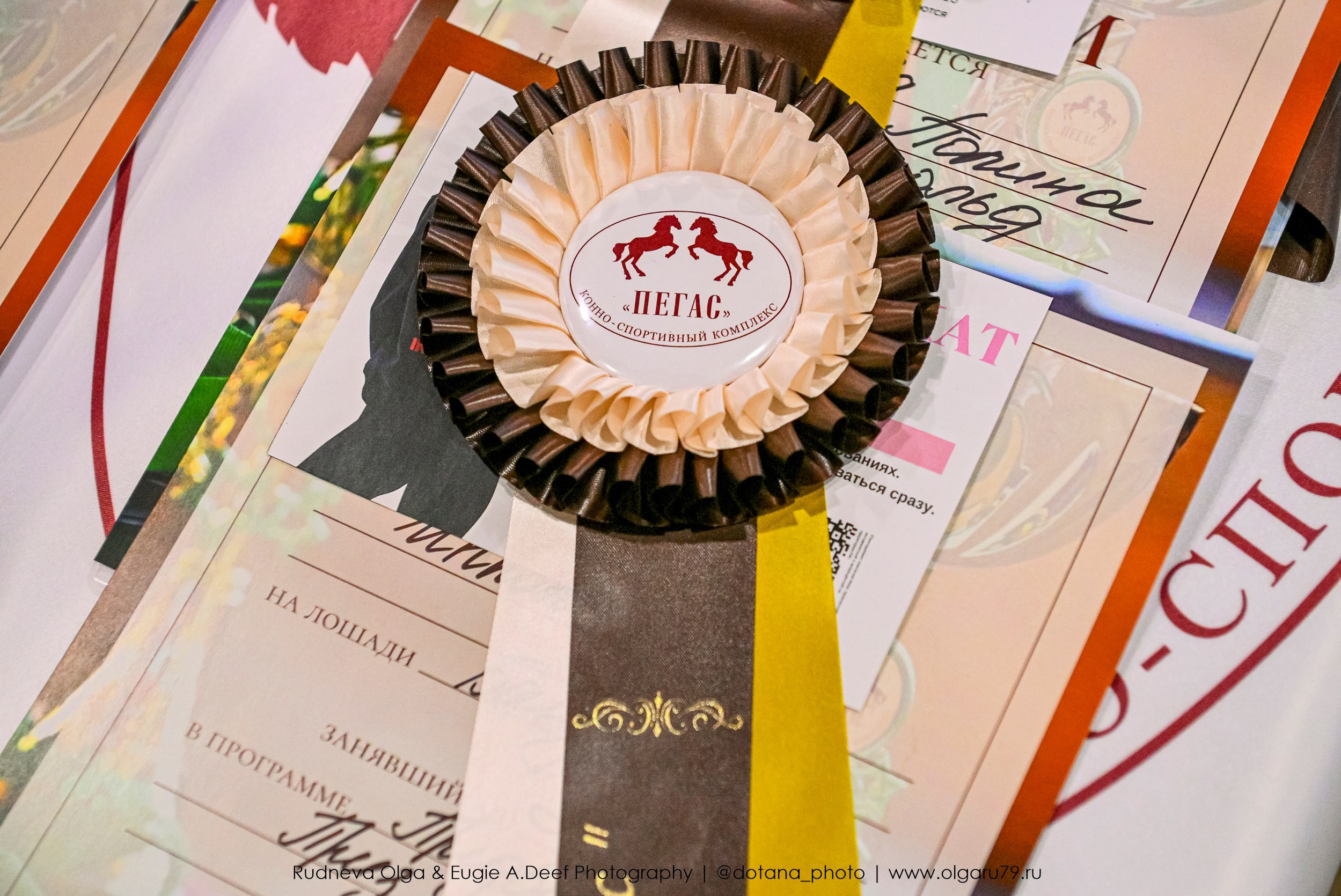 2026-02-14 — КСК Пегас (выездка). ТУРНИРНАЯ КОННАЯ ФОТОГРАФИЯ, Руднева Ольга и Евгений Адеев