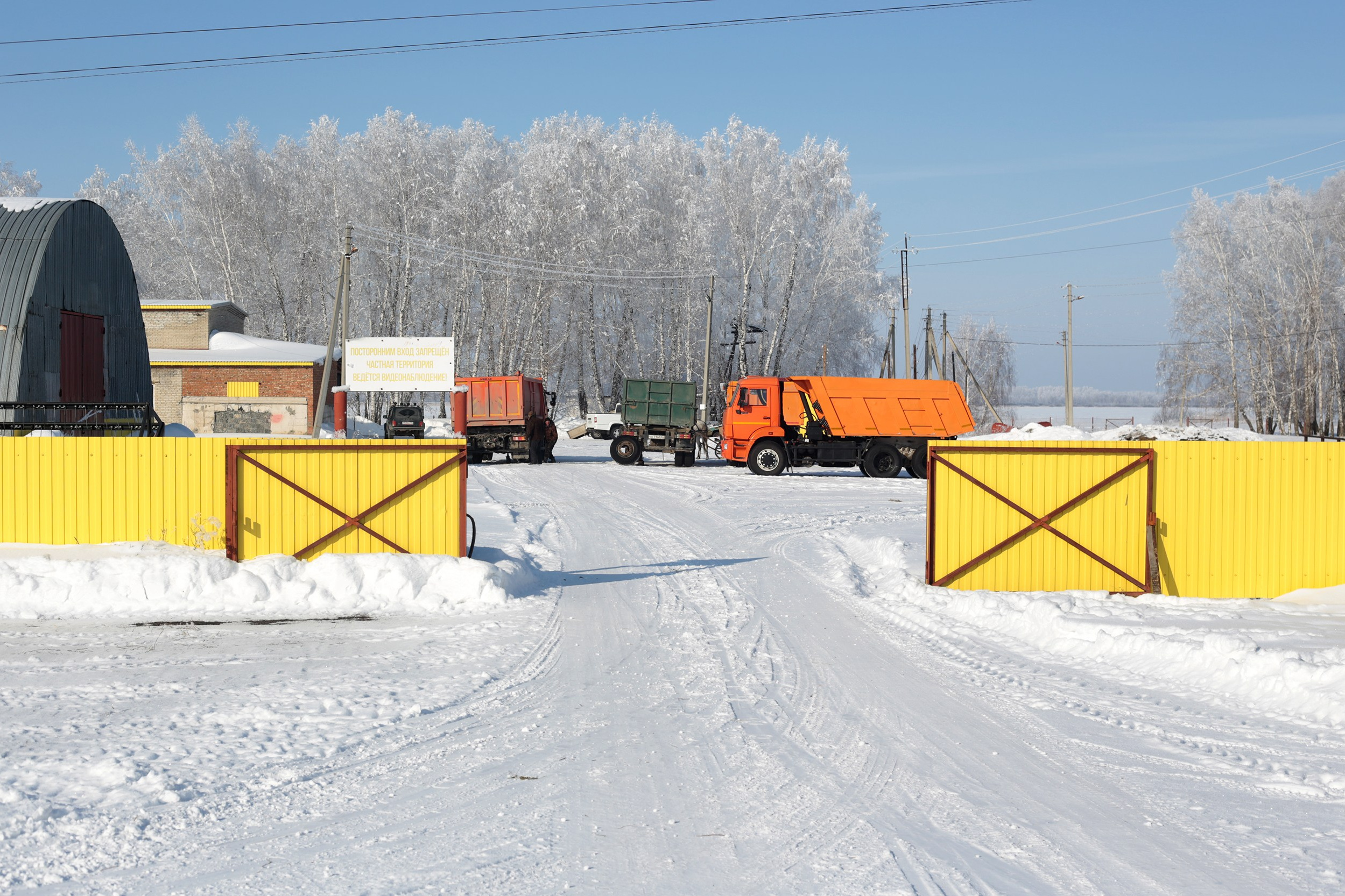 Старенькие дети: Лариса. Юлия Алтухова, мультимедиа художница