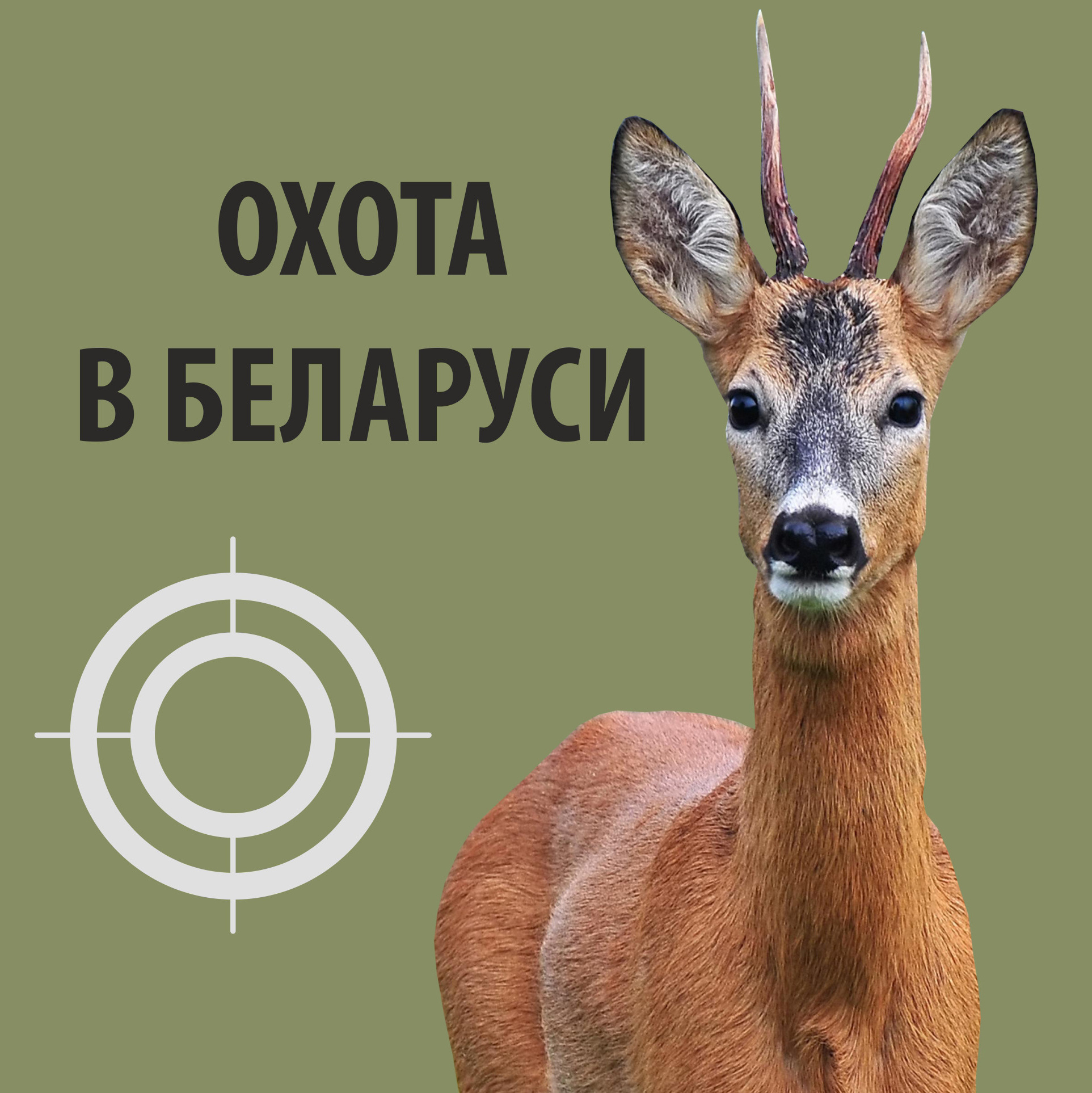 Контакты. Охота в Беларуси