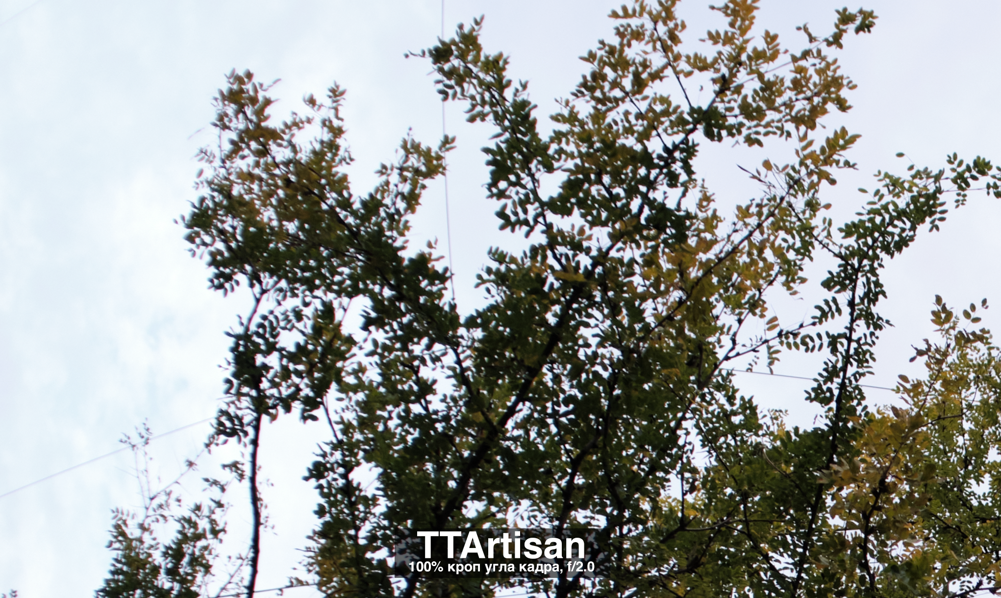 Сравнение объективов 7artisans 7,5/f2.8 и TTArtisan 7,5/f2.0. Фотограф Константин Шамин