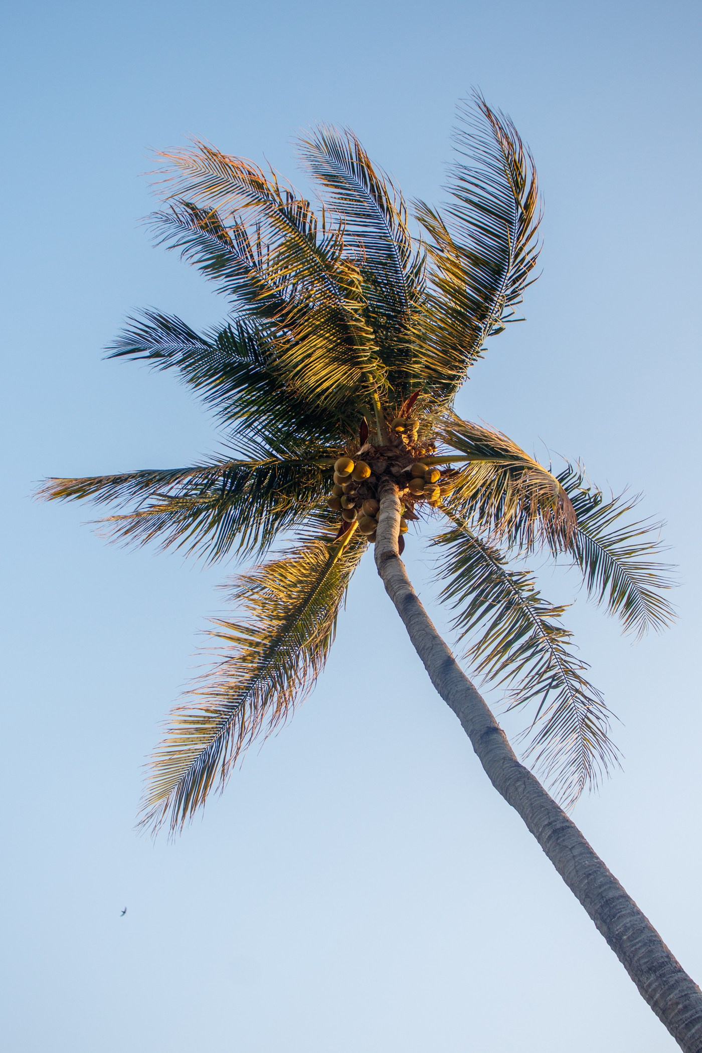 Фотосессии на Пхукете — солнце, море