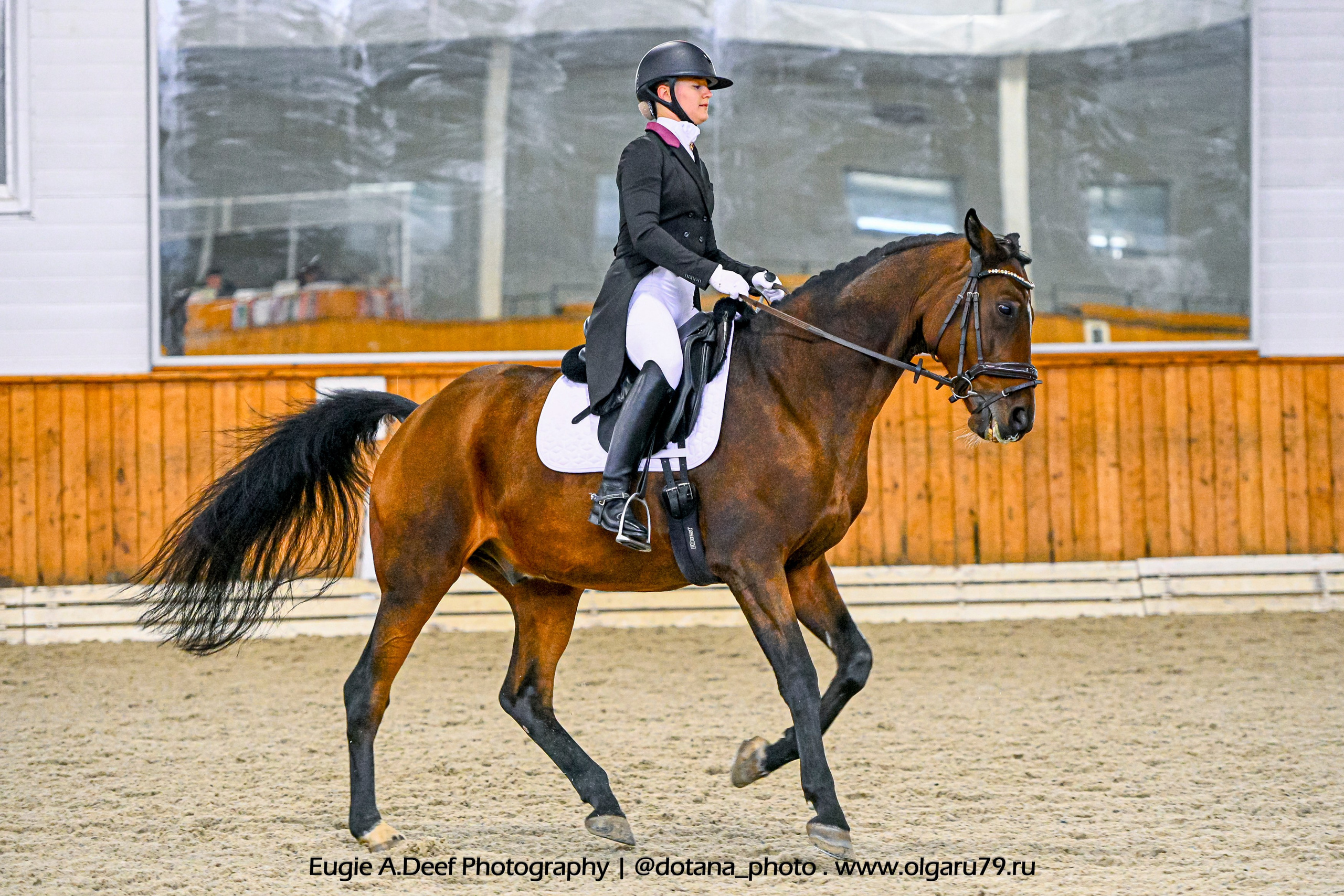 2025.10.19 — КСК Конкорд — выездка. ТУРНИРНАЯ КОННАЯ ФОТОГРАФИЯ, Руднева Ольга и Евгений Адеев
