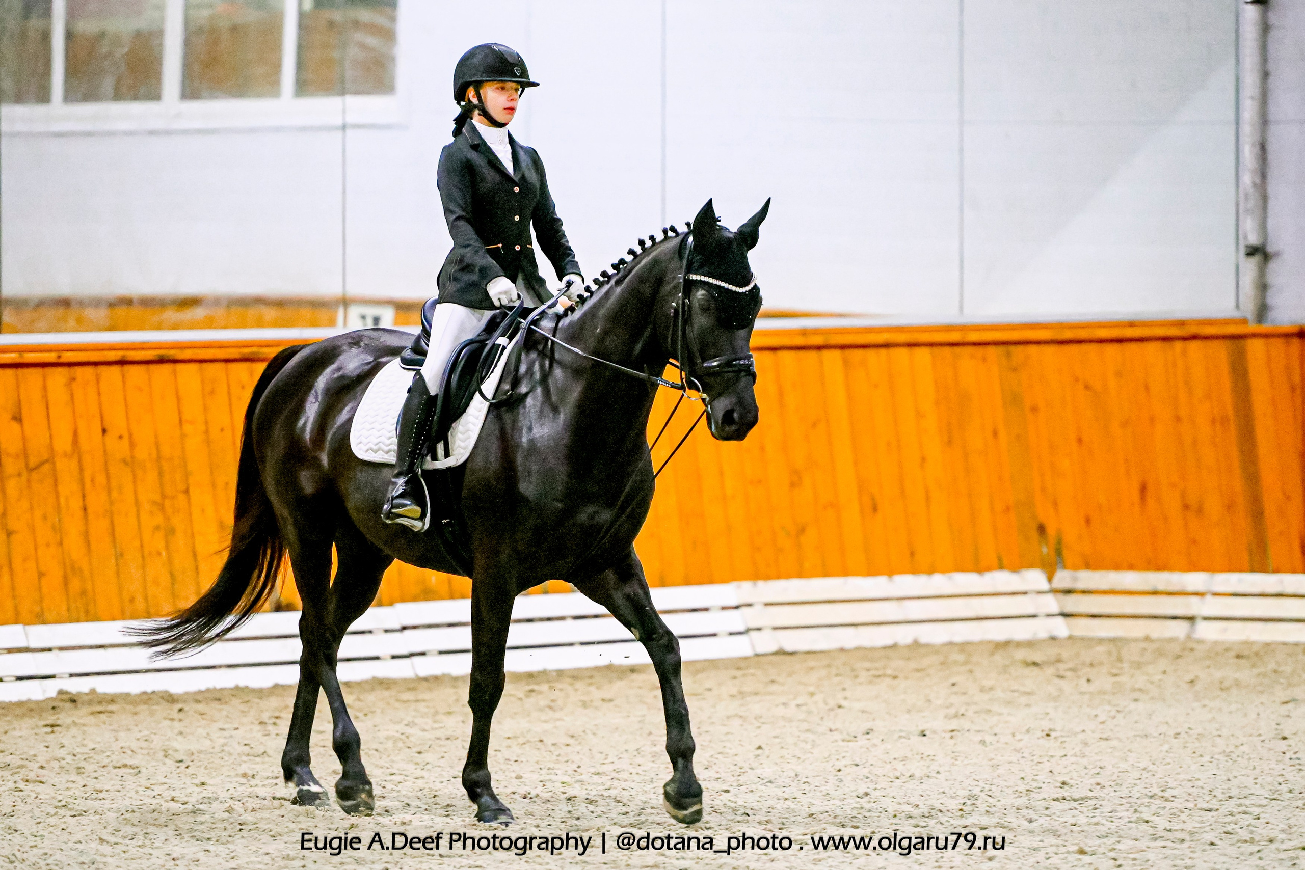 2025.10.19 — КСК Конкорд — выездка. ТУРНИРНАЯ КОННАЯ ФОТОГРАФИЯ, Руднева Ольга и Евгений Адеев