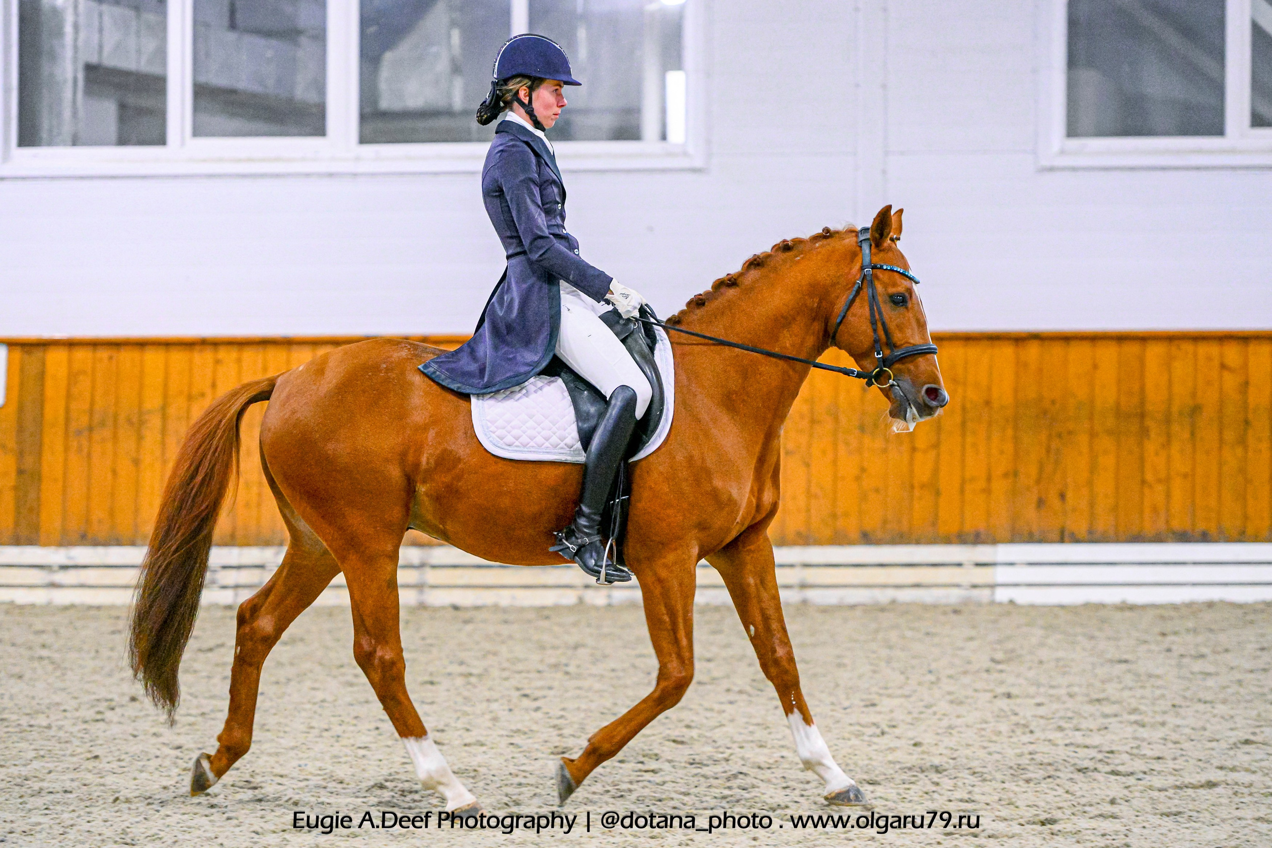 2025.10.19 — КСК Конкорд — выездка. ТУРНИРНАЯ КОННАЯ ФОТОГРАФИЯ, Руднева Ольга и Евгений Адеев