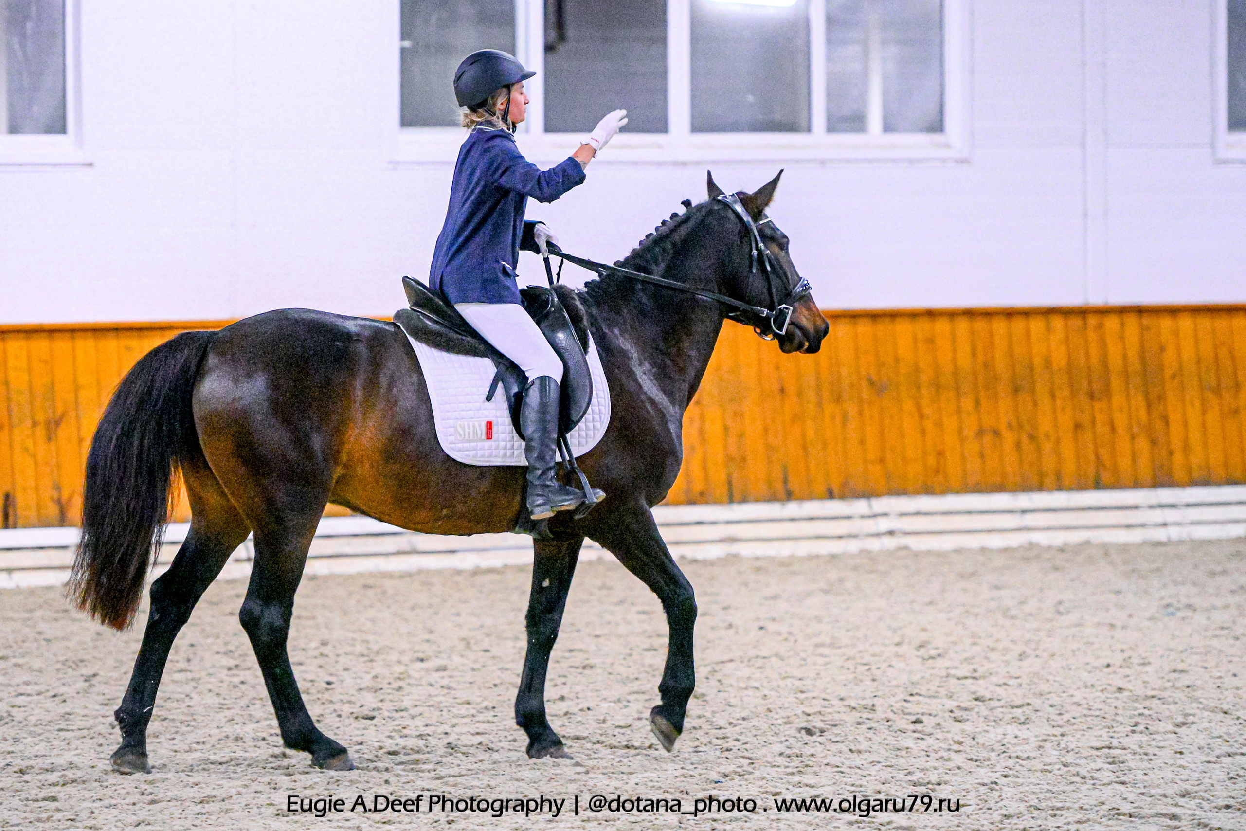 2025.10.19 — КСК Конкорд — выездка. ТУРНИРНАЯ КОННАЯ ФОТОГРАФИЯ, Руднева Ольга и Евгений Адеев