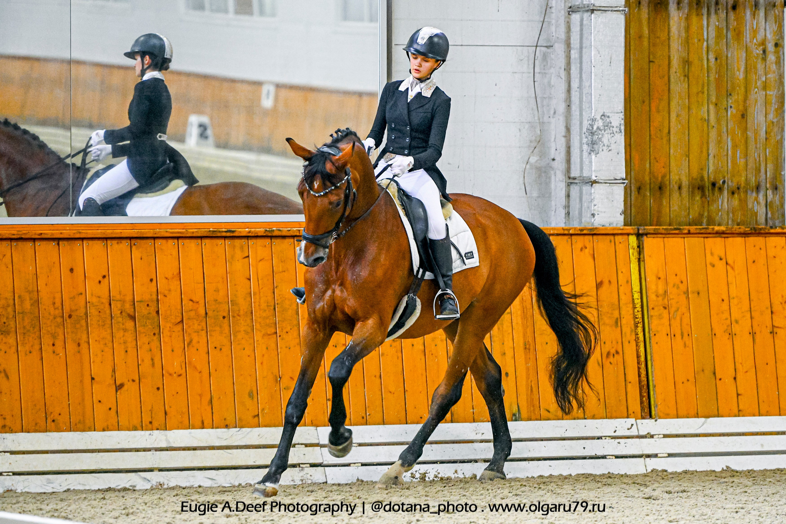 2025.10.19 — КСК Конкорд — выездка. ТУРНИРНАЯ КОННАЯ ФОТОГРАФИЯ, Руднева Ольга и Евгений Адеев