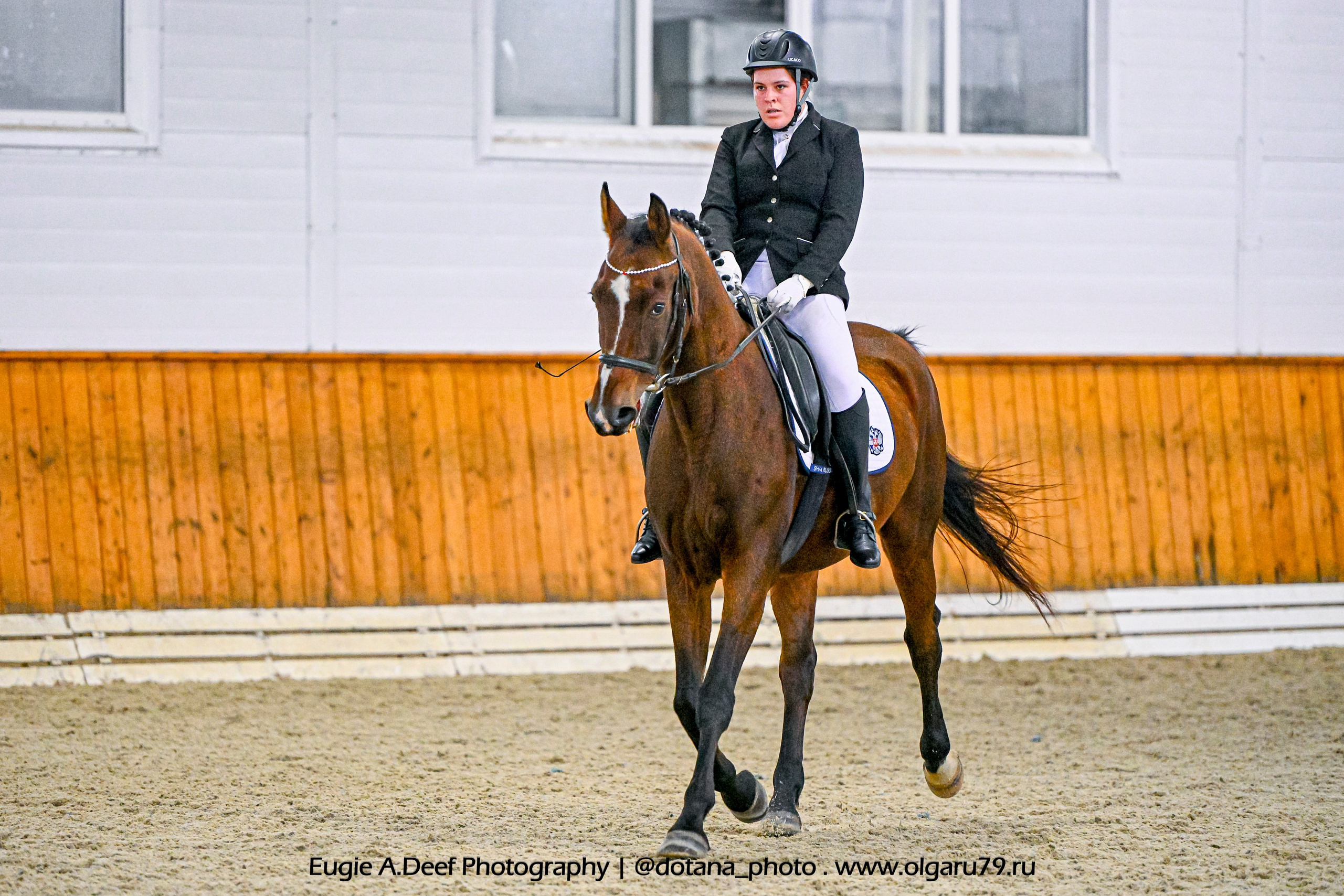 2025.10.19 — КСК Конкорд — выездка. ТУРНИРНАЯ КОННАЯ ФОТОГРАФИЯ, Руднева Ольга и Евгений Адеев
