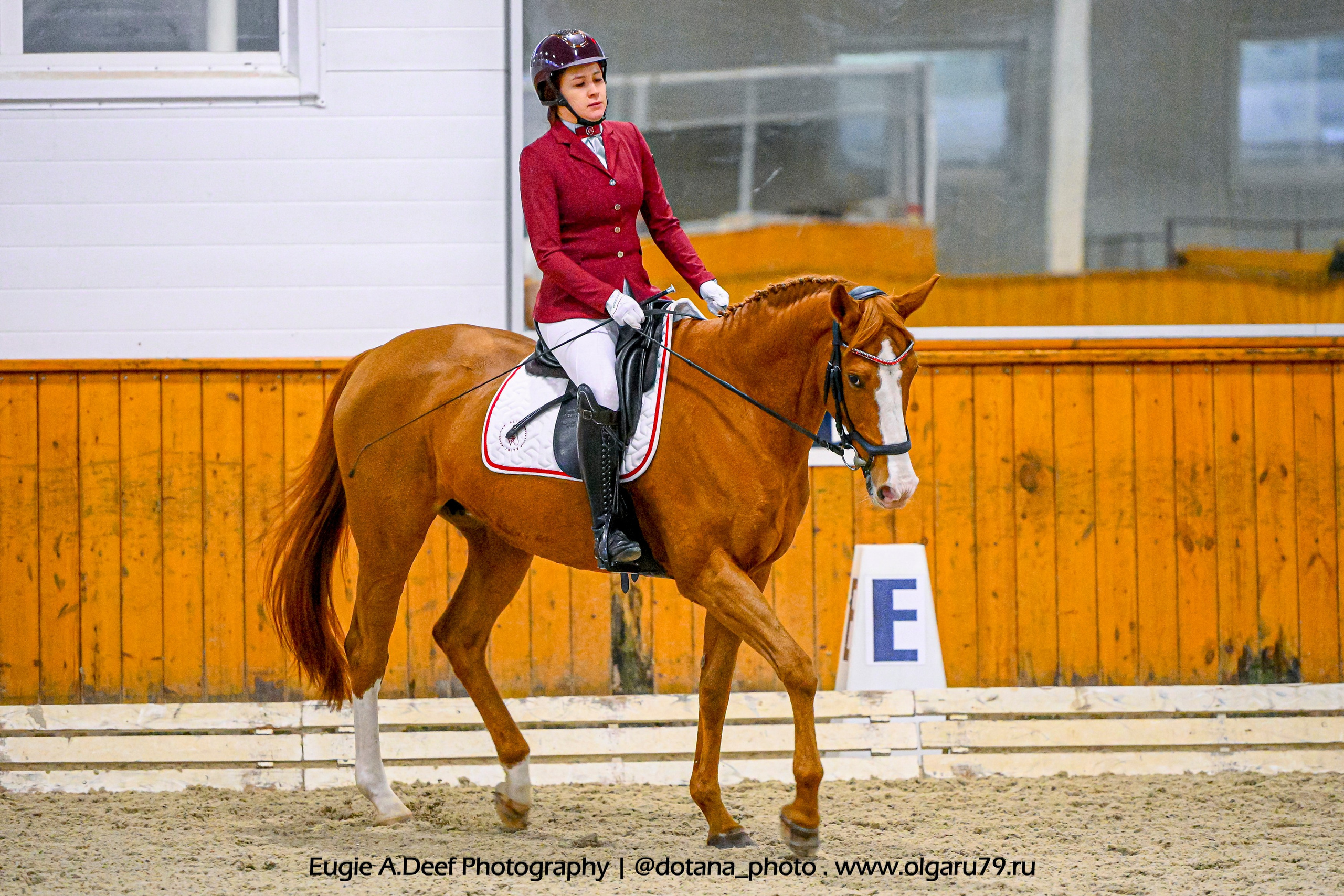 2025.10.19 — КСК Конкорд — выездка. ТУРНИРНАЯ КОННАЯ ФОТОГРАФИЯ, Руднева Ольга и Евгений Адеев