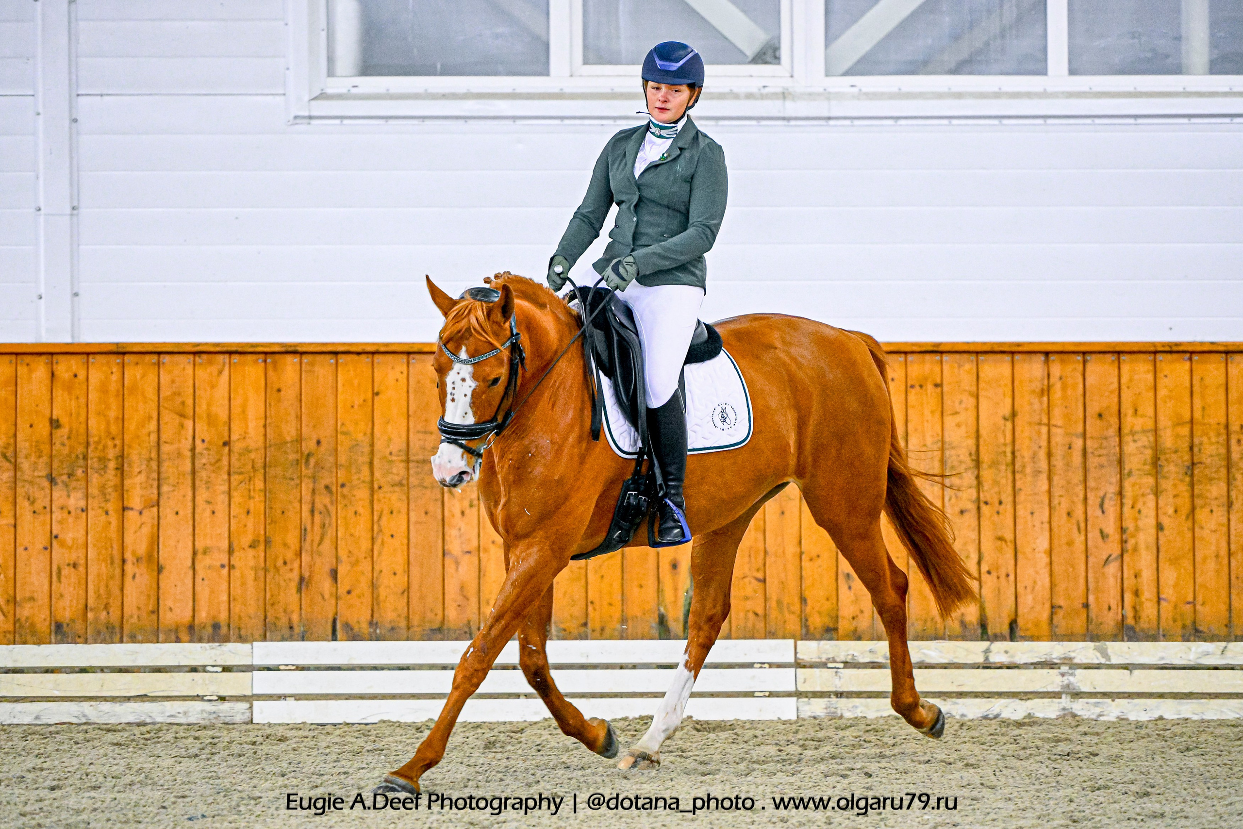 2025.10.19 — КСК Конкорд — выездка. ТУРНИРНАЯ КОННАЯ ФОТОГРАФИЯ, Руднева Ольга и Евгений Адеев