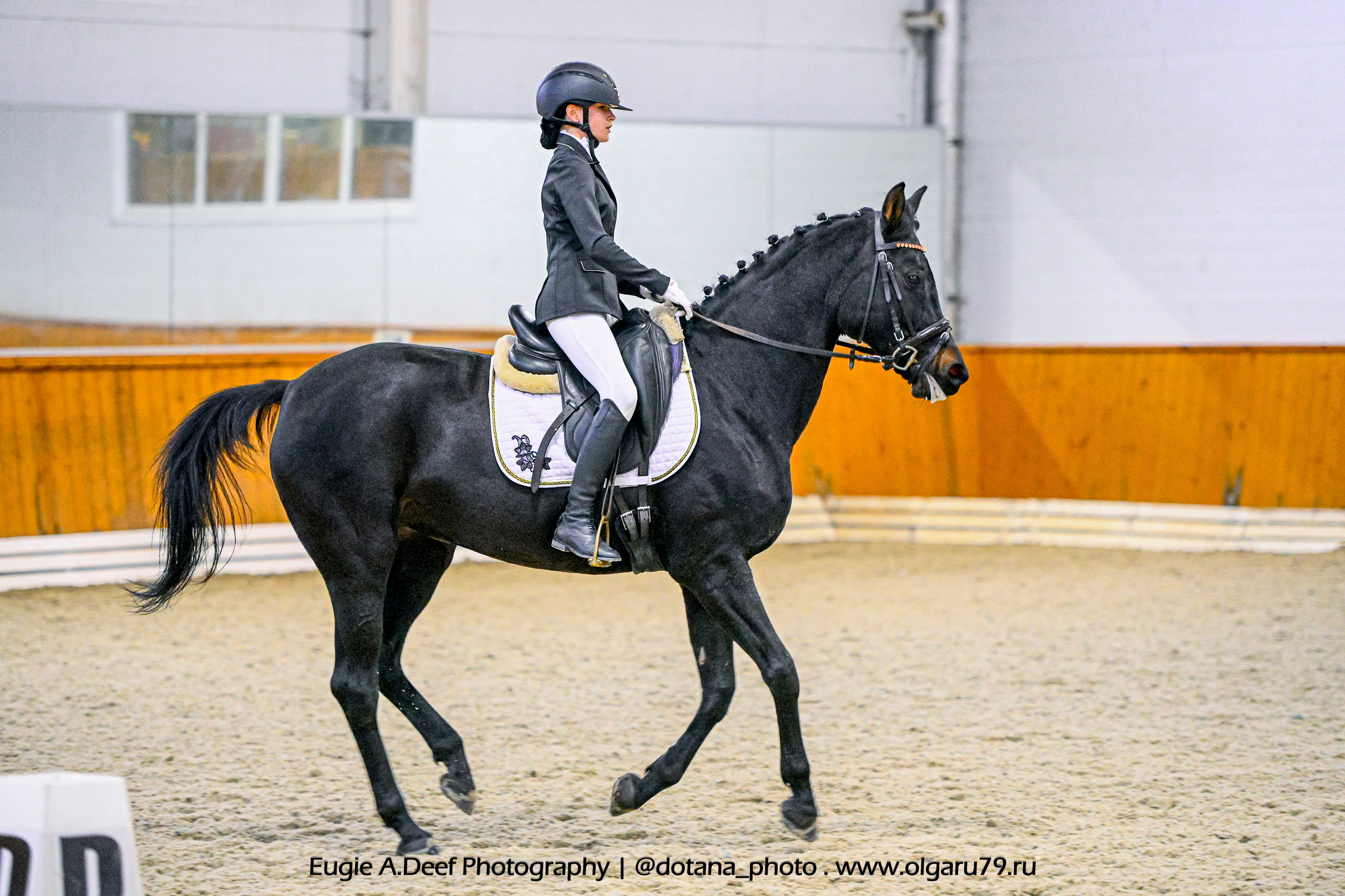 2025.10.19 — КСК Конкорд — выездка. ТУРНИРНАЯ КОННАЯ ФОТОГРАФИЯ, Руднева Ольга и Евгений Адеев