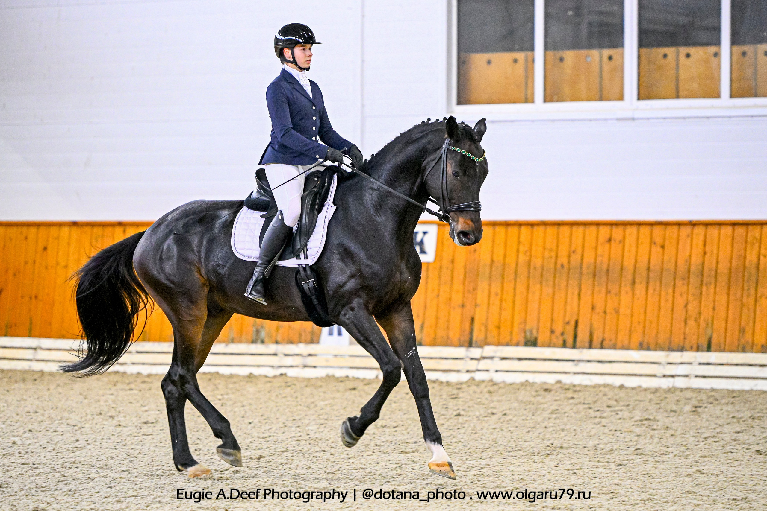 2025.10.19 — КСК Конкорд — выездка. ТУРНИРНАЯ КОННАЯ ФОТОГРАФИЯ, Руднева Ольга и Евгений Адеев