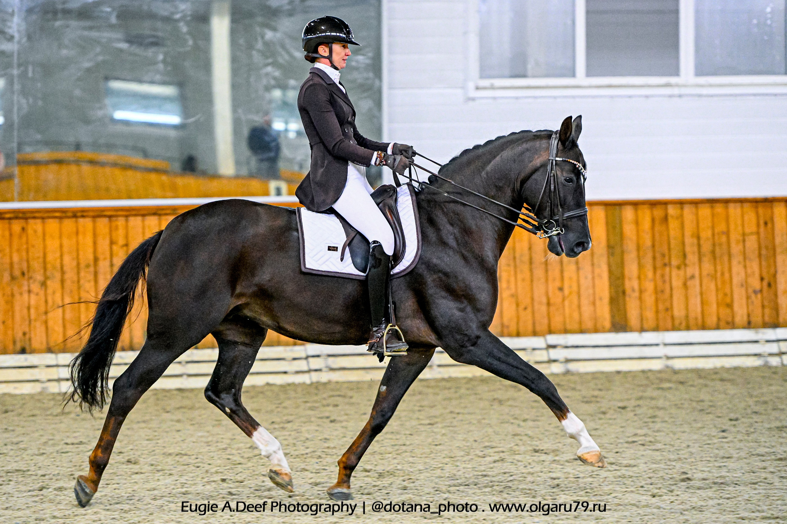 2025.10.19 — КСК Конкорд — выездка. ТУРНИРНАЯ КОННАЯ ФОТОГРАФИЯ, Руднева Ольга и Евгений Адеев
