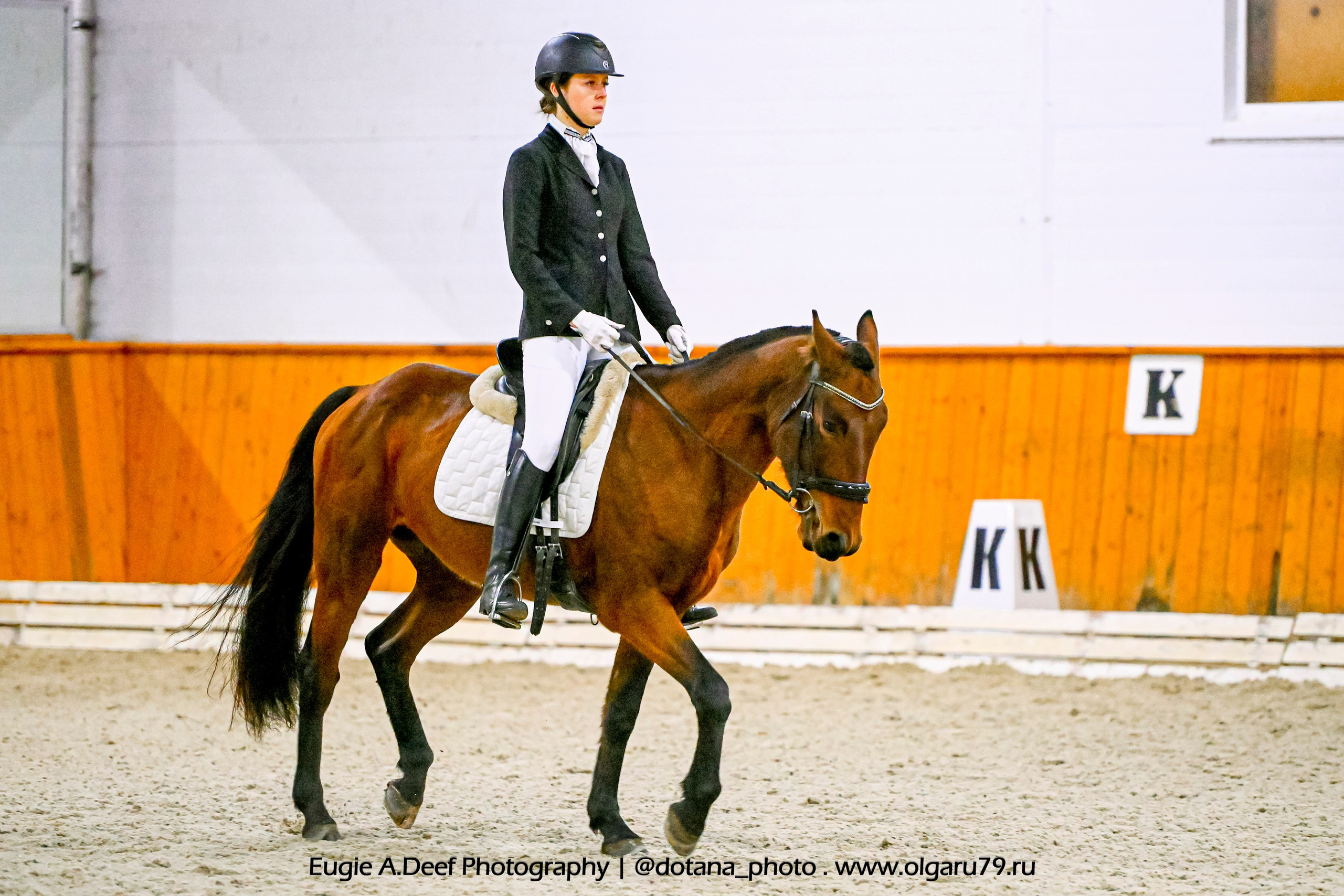 2025.10.19 — КСК Конкорд — выездка. ТУРНИРНАЯ КОННАЯ ФОТОГРАФИЯ, Руднева Ольга и Евгений Адеев