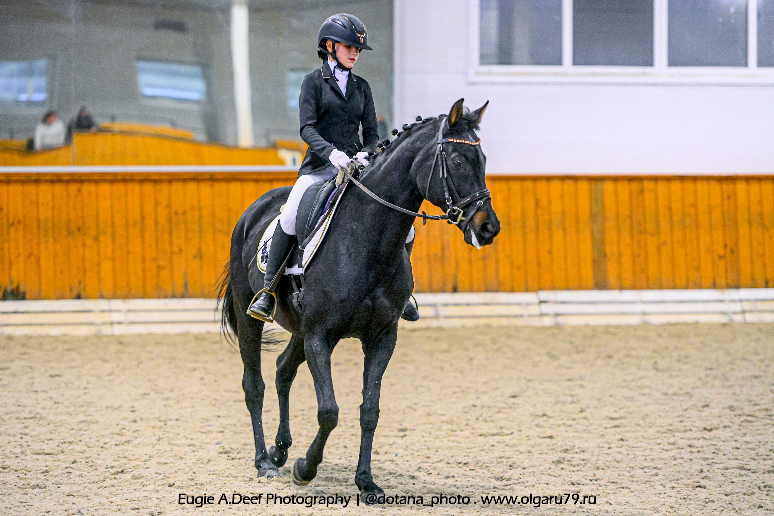 2025.10.19 — КСК Конкорд — выездка. ТУРНИРНАЯ КОННАЯ ФОТОГРАФИЯ, Руднева Ольга и Евгений Адеев