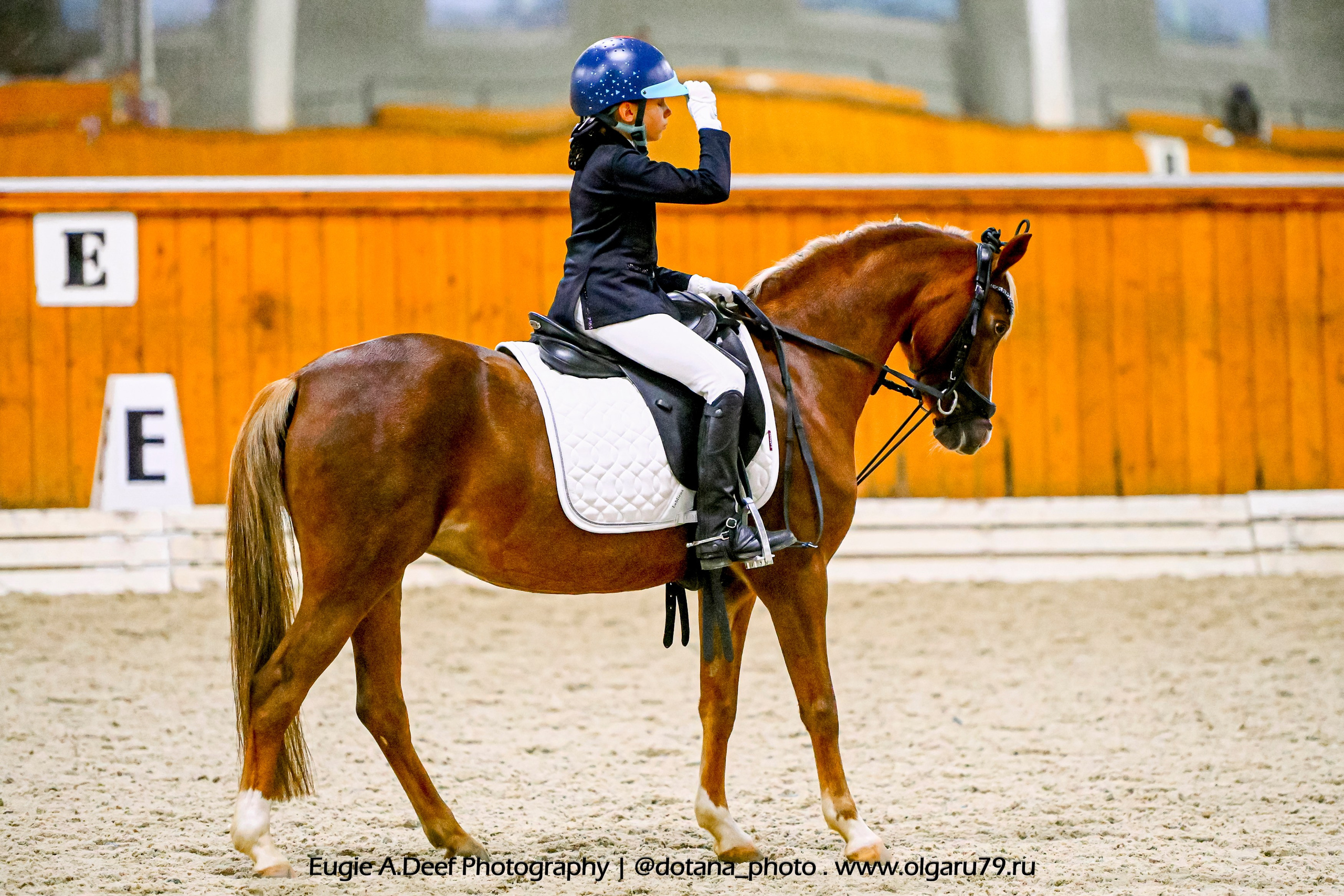 2025.10.19 — КСК Конкорд — выездка. ТУРНИРНАЯ КОННАЯ ФОТОГРАФИЯ, Руднева Ольга и Евгений Адеев