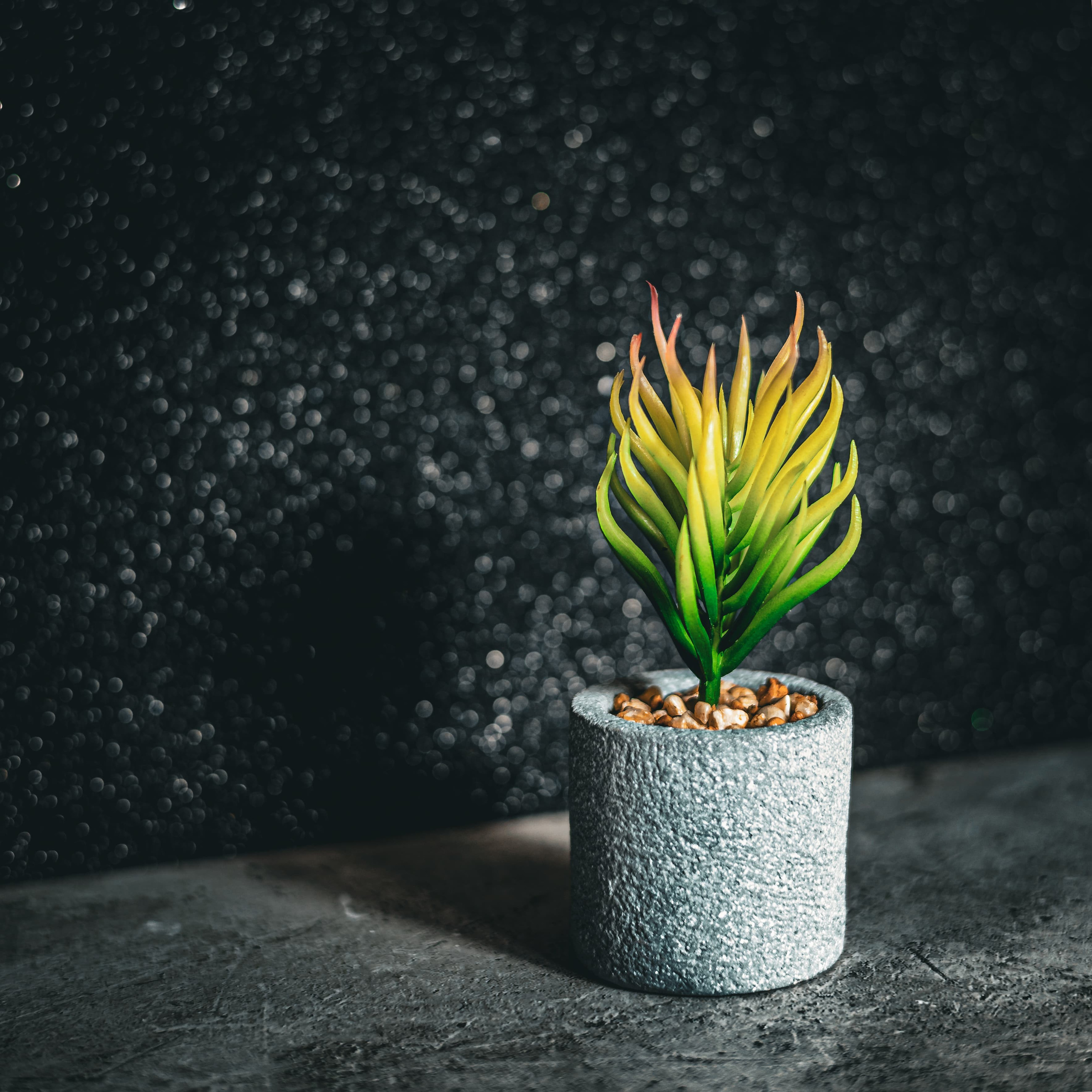 Контакты. Be_Legend