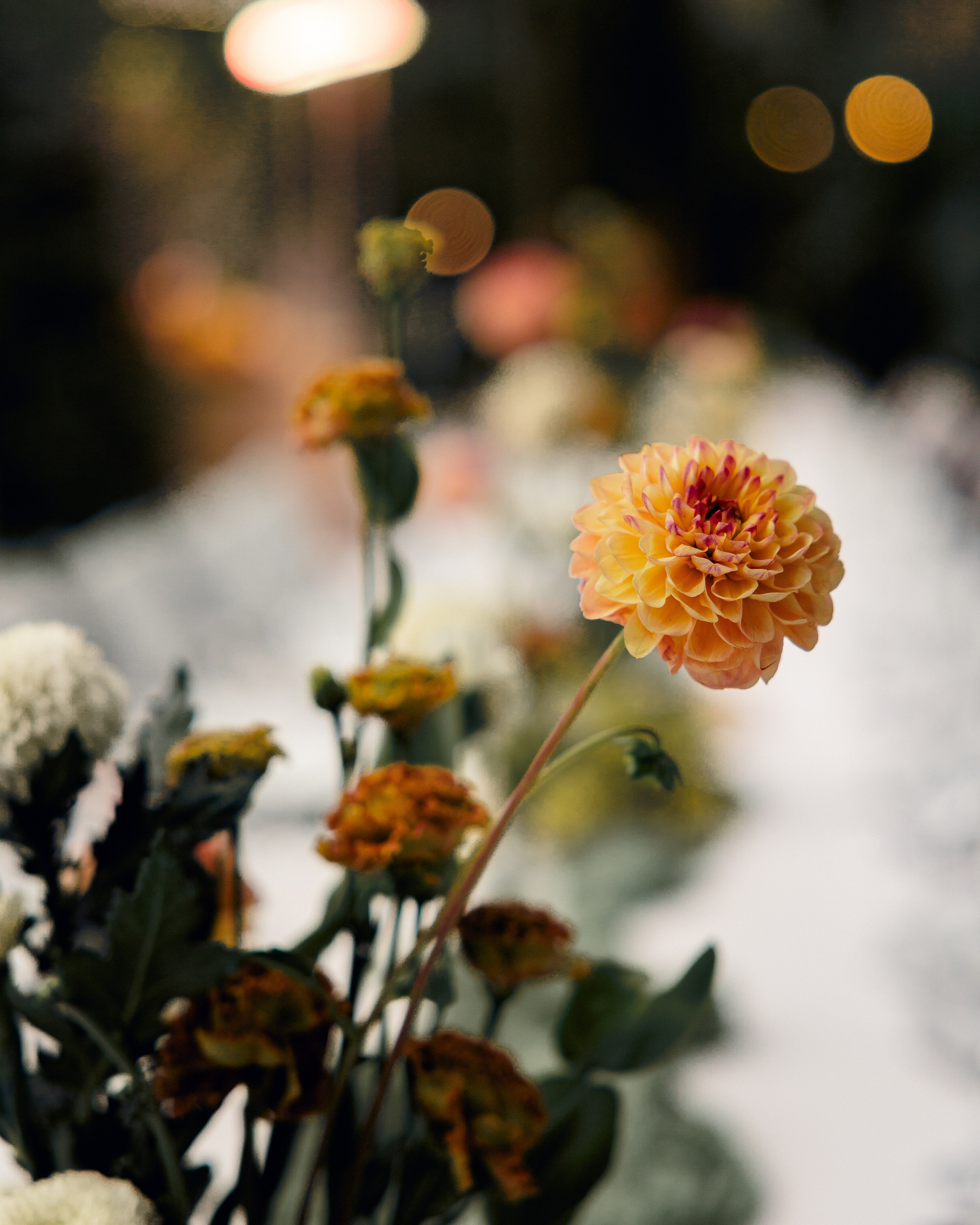 Wedding Stories. Свадебный фотограф в Санкт-Петербурге Настасья Север