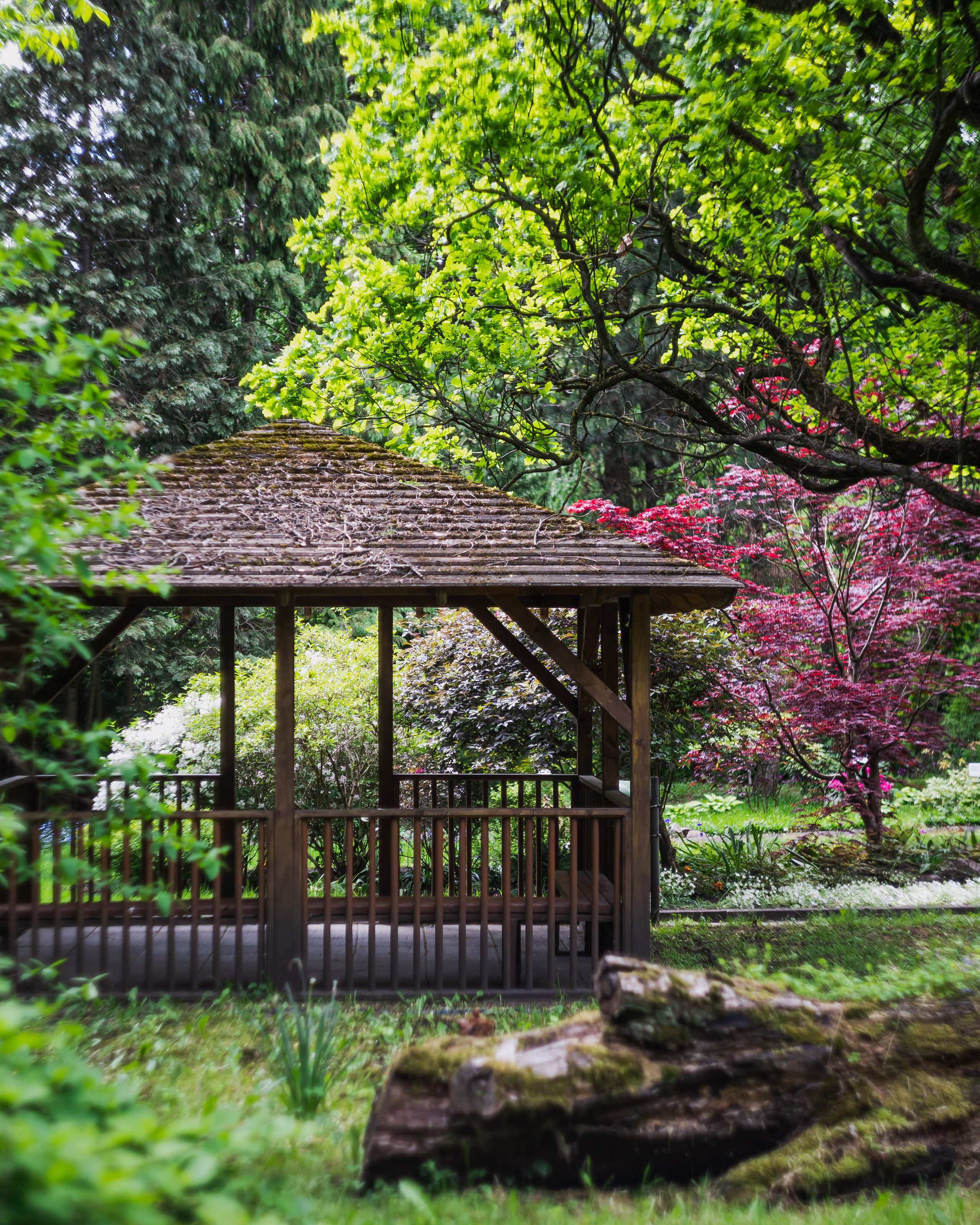 Блог про Кениг. AI-контент (генерации ИИ-фото и видео), стоковые фотографии Калининградской области