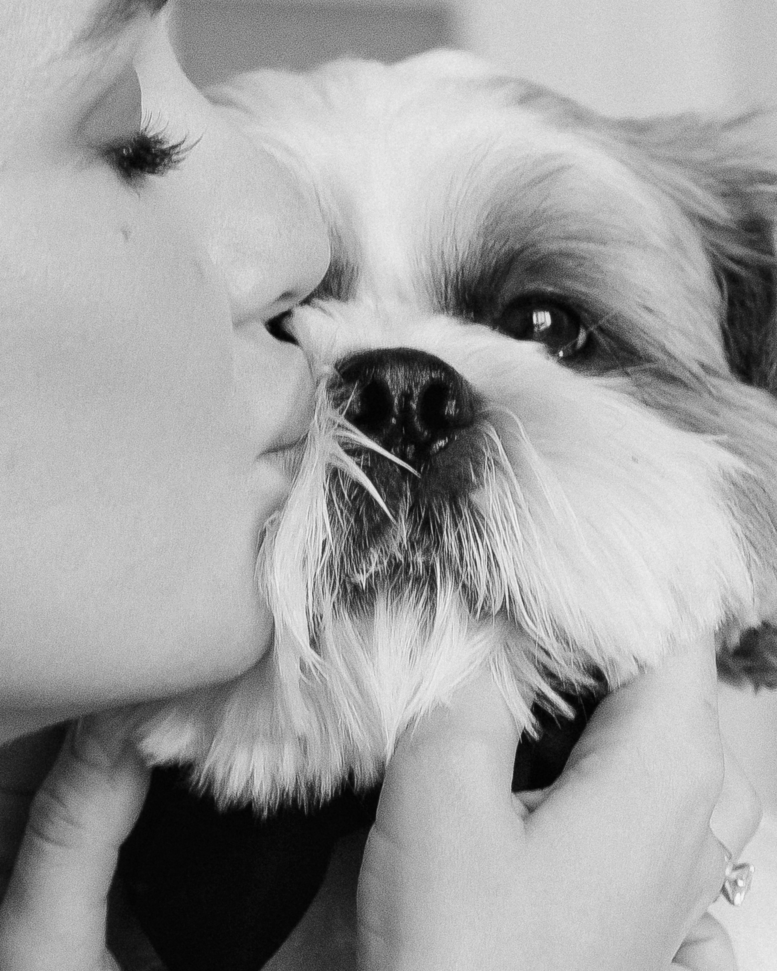 СВАДЕБНЫЙ ПРАЙС ЮГ. Свадебный и семейный фотограф в Анапе/Новороссийске Виктория Чайка