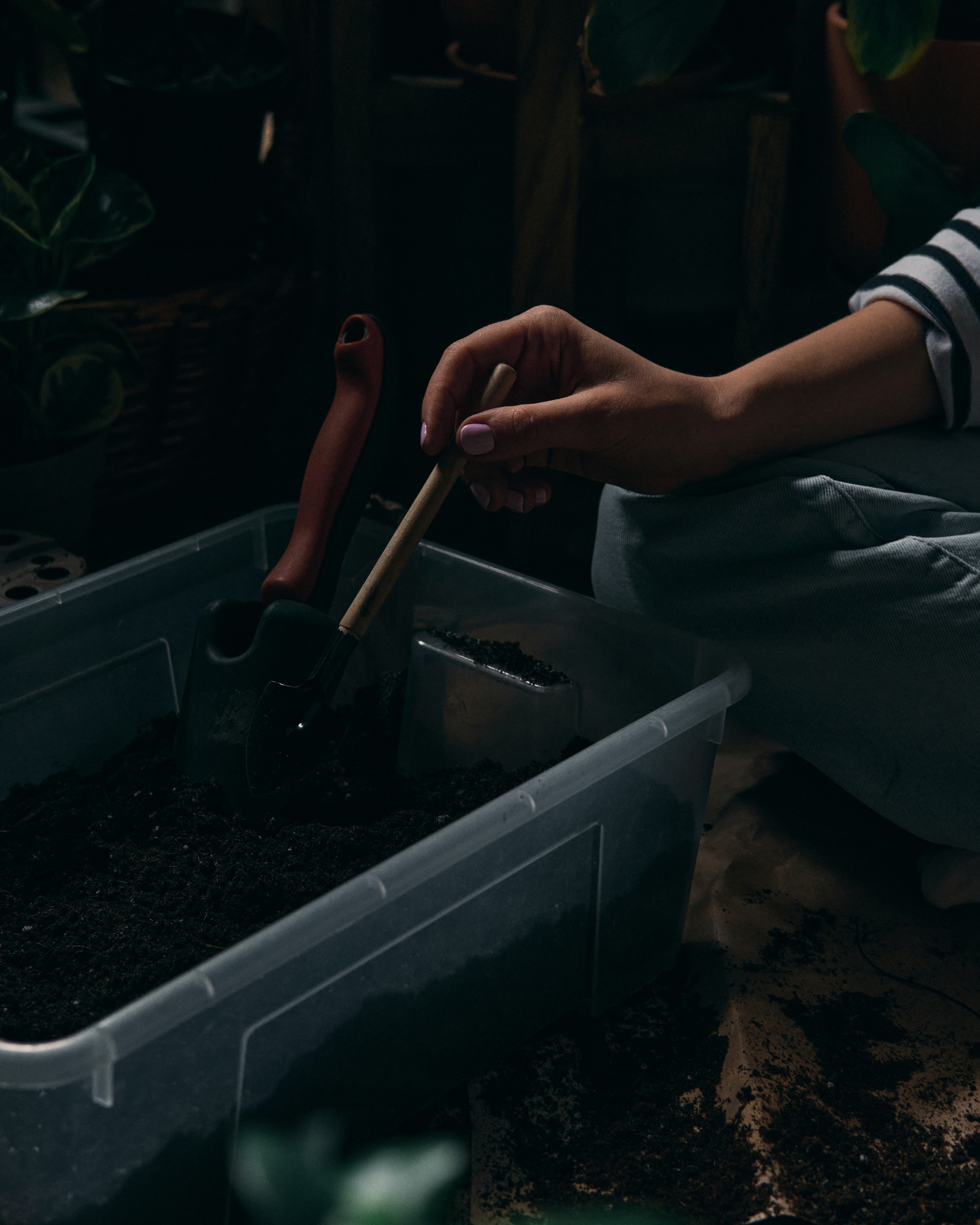 Интервью с Марией Солоповой — Plants NSK. Артём Кузнецов, фотограф, Новосибирск