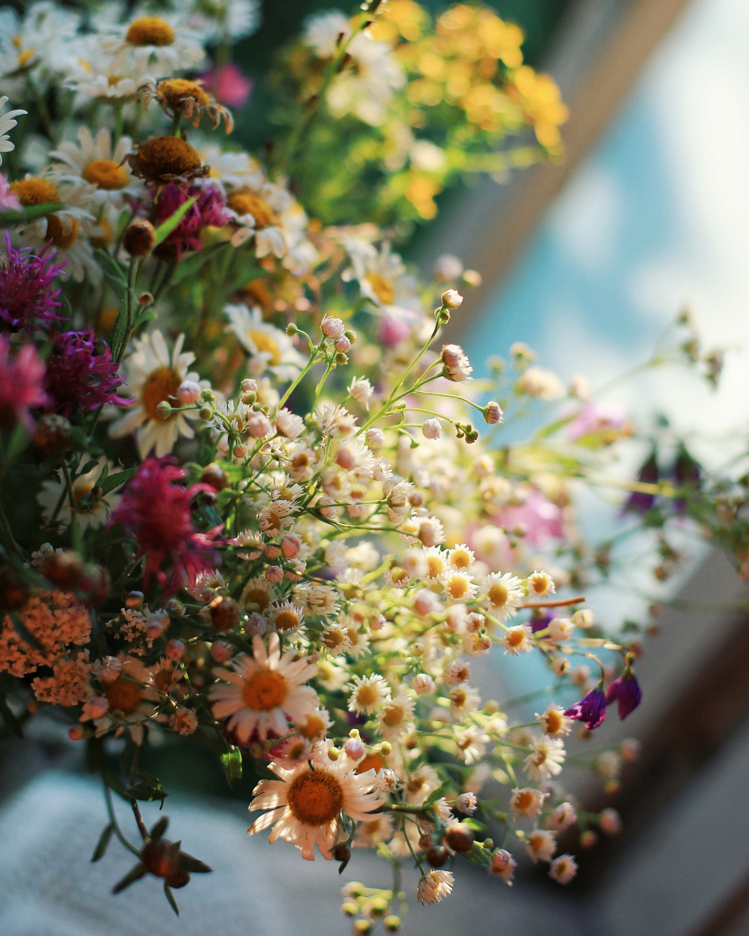 Семейная фотосессия, фотосессия в деревне, деревенский дом, чаепитие. Профессиональный фотограф, фотохудожник, видеограф из Москвы