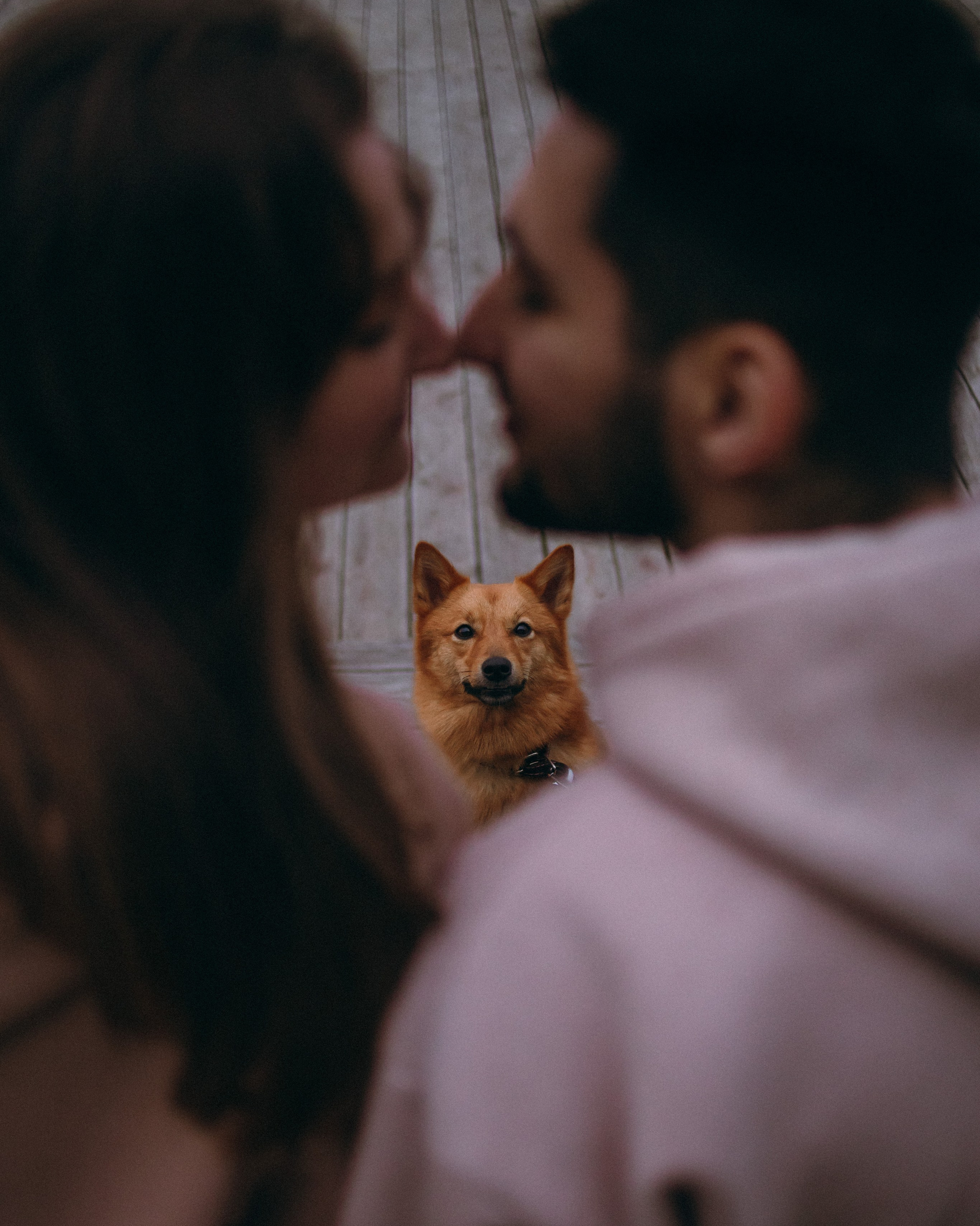 Услуги. Фотограф Юлия Говор