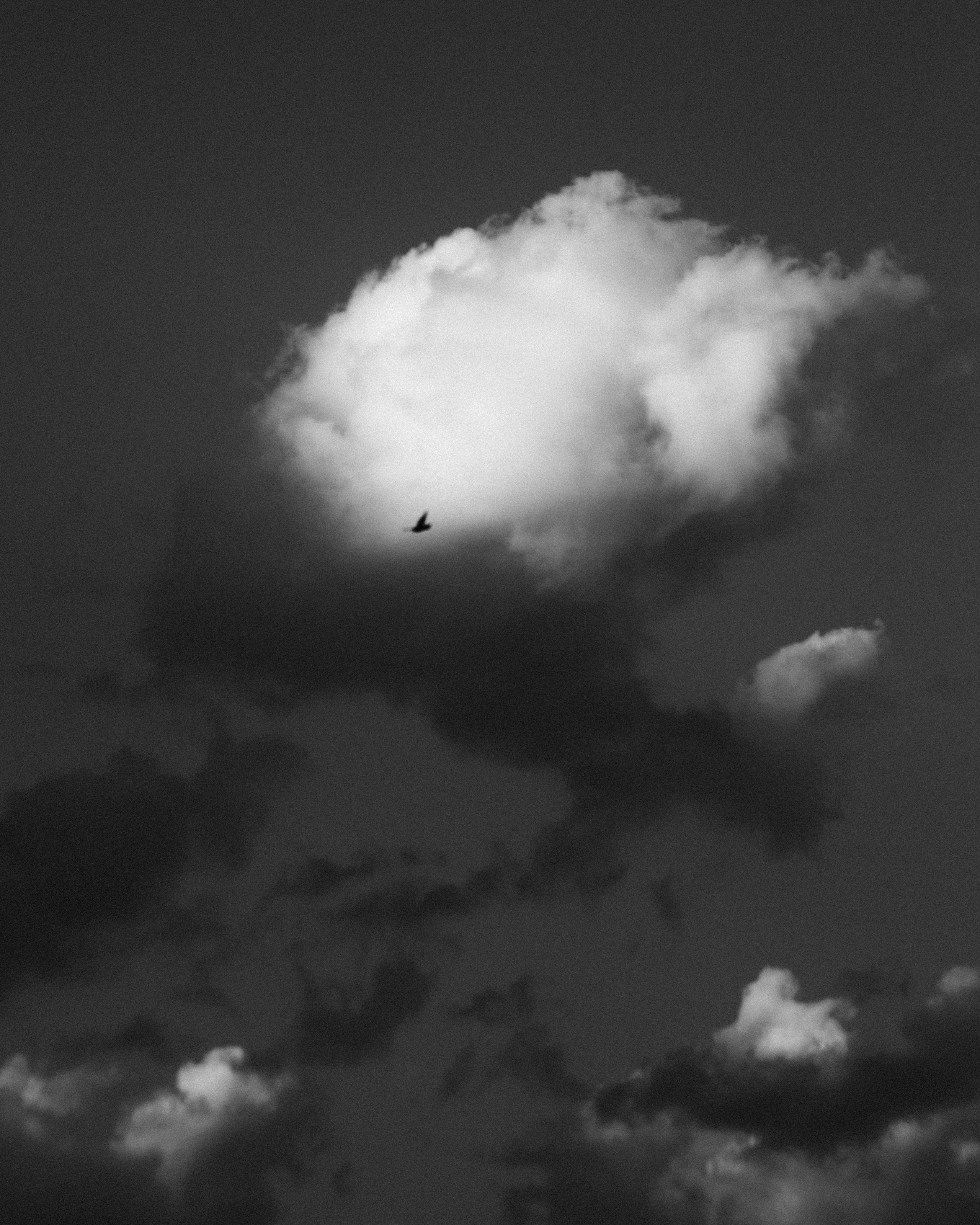 Открытки. Ostryakov Daniil Photographer