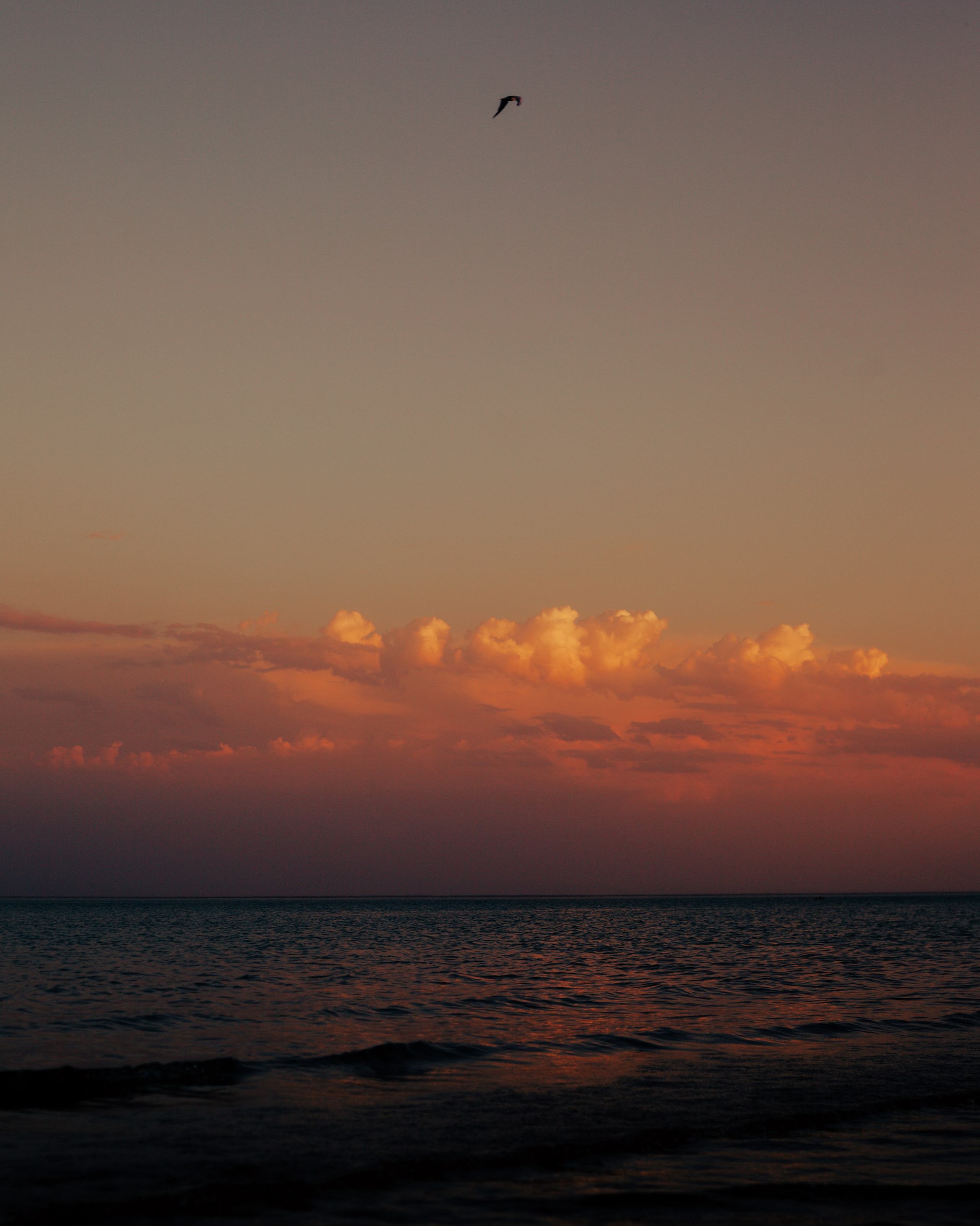 Открытки. Ostryakov Daniil Photographer