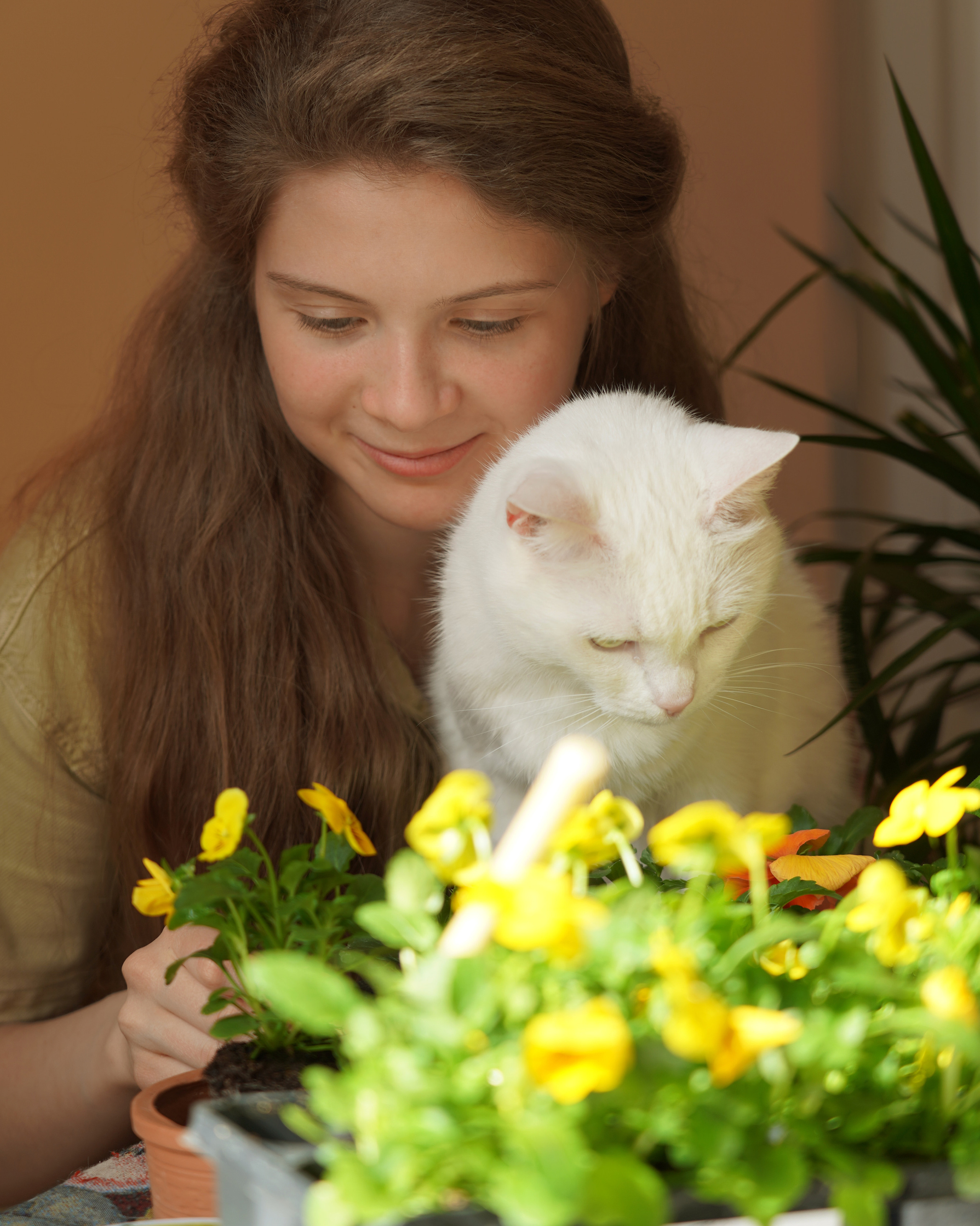 Услуги. Моя фотостудия: поле, лес, море и горы… Казань — Москва — Болгария