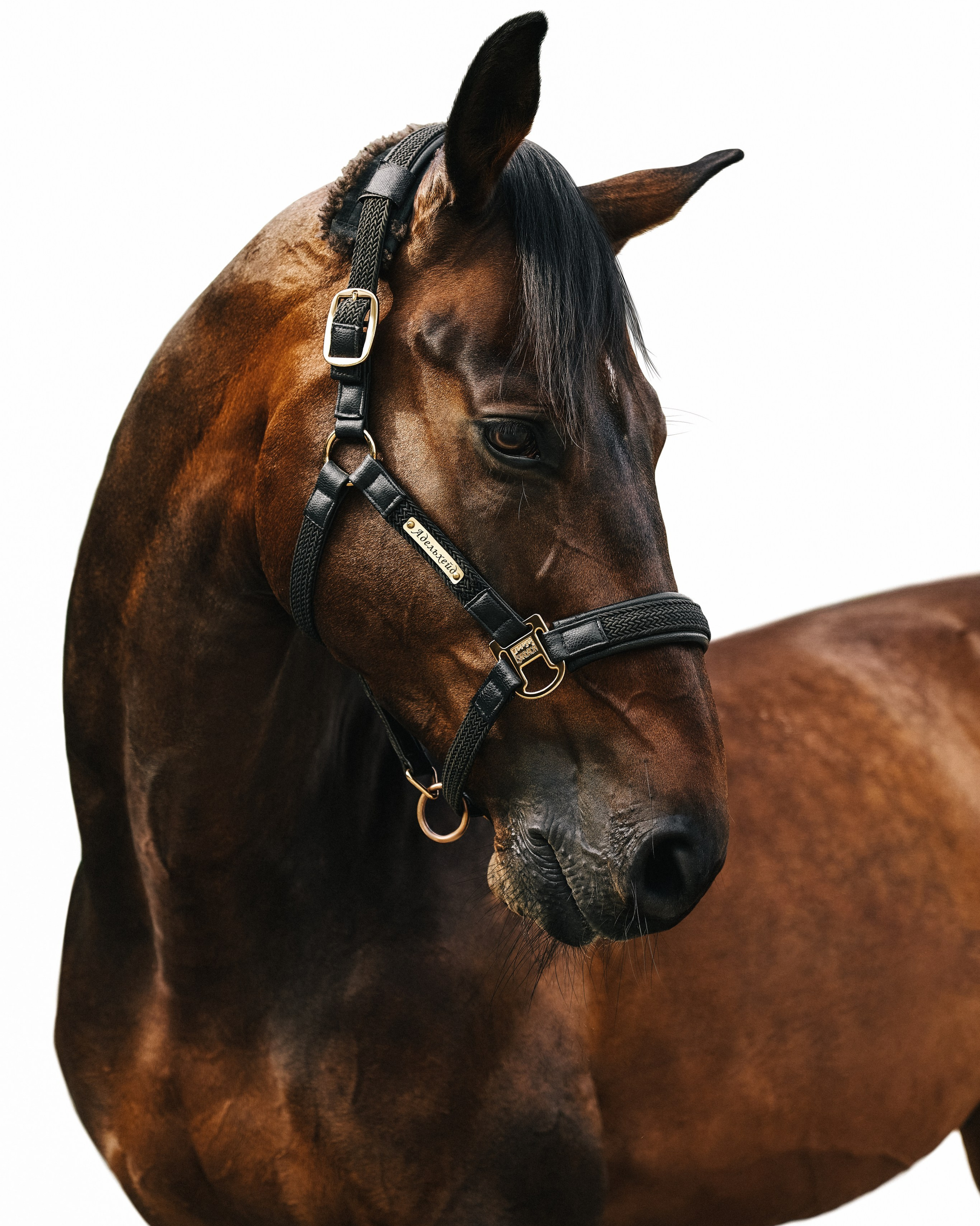 Услуги. Фотограф Москва Кристина Джоанна