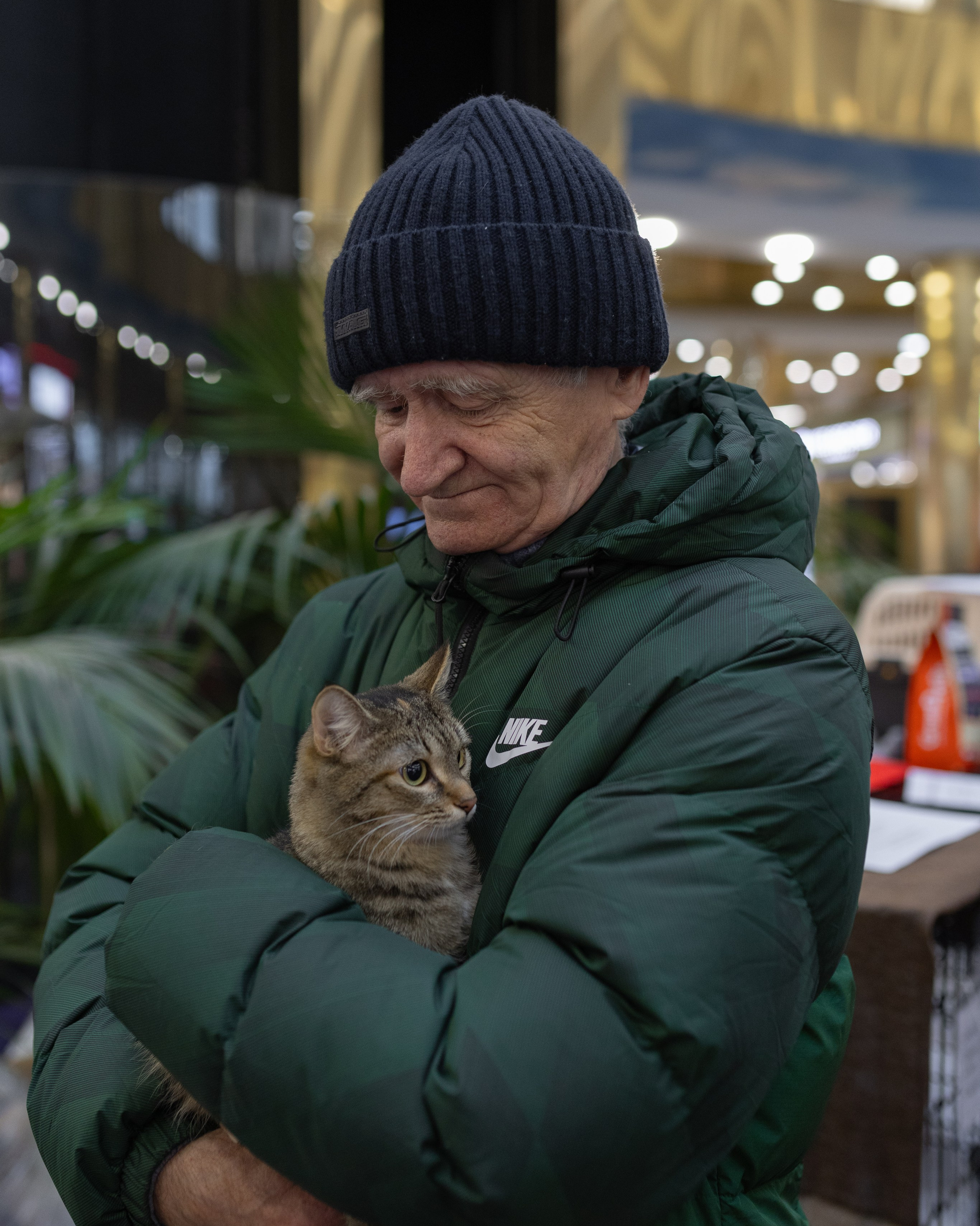 Волонтерская деятельность. Фотографирую для приютов бесплатно