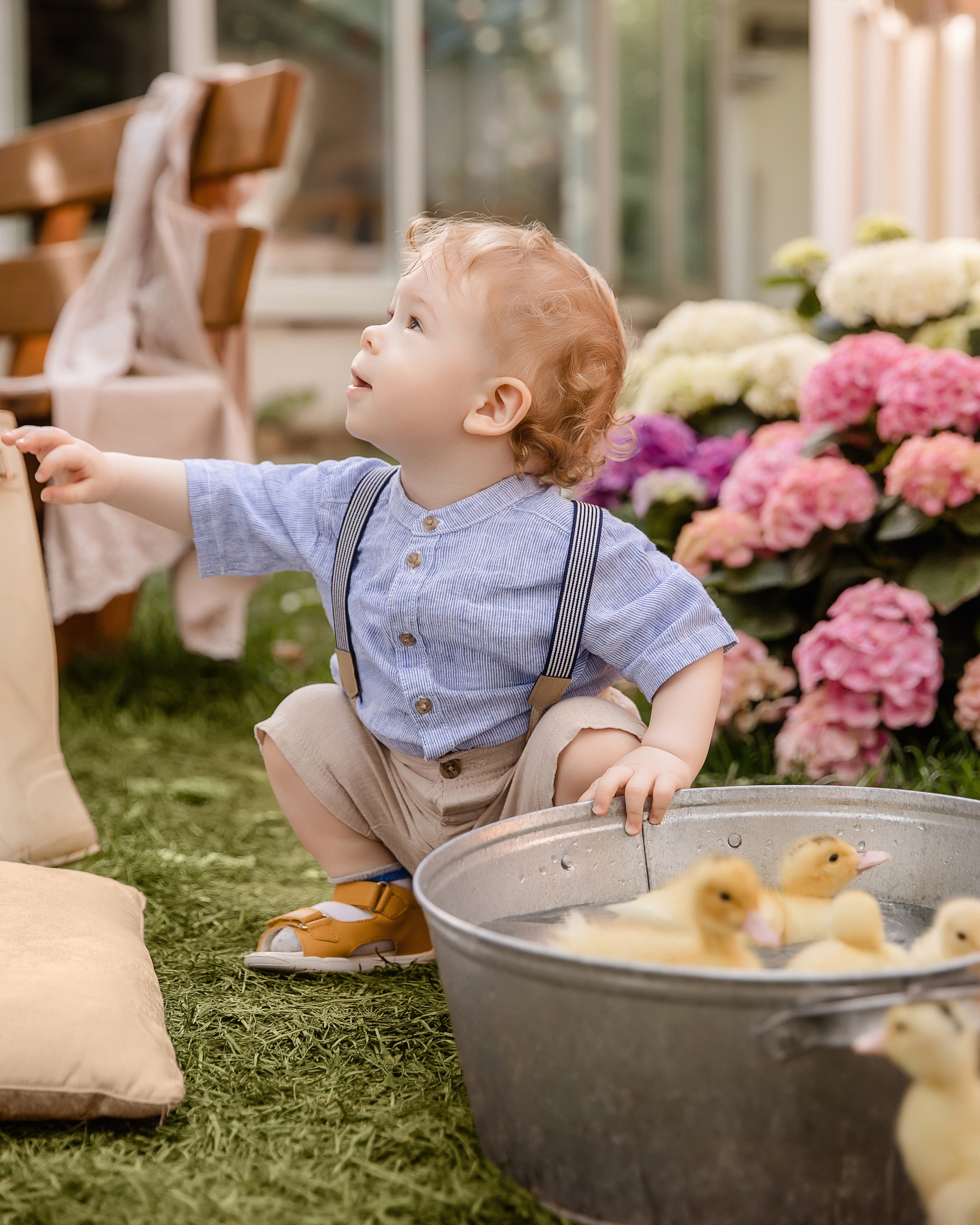 Стоимость. Семейный и детский фотограф в Москве Вера Ускова