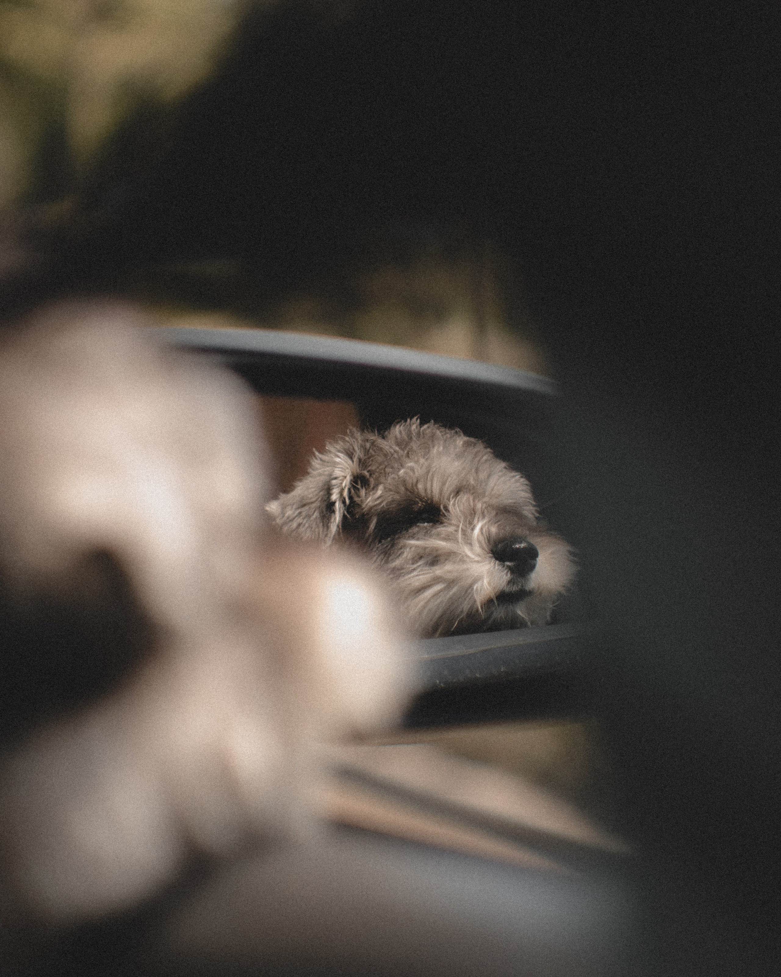 Контакты. Фотограф Краснодар Ирина Гафланова