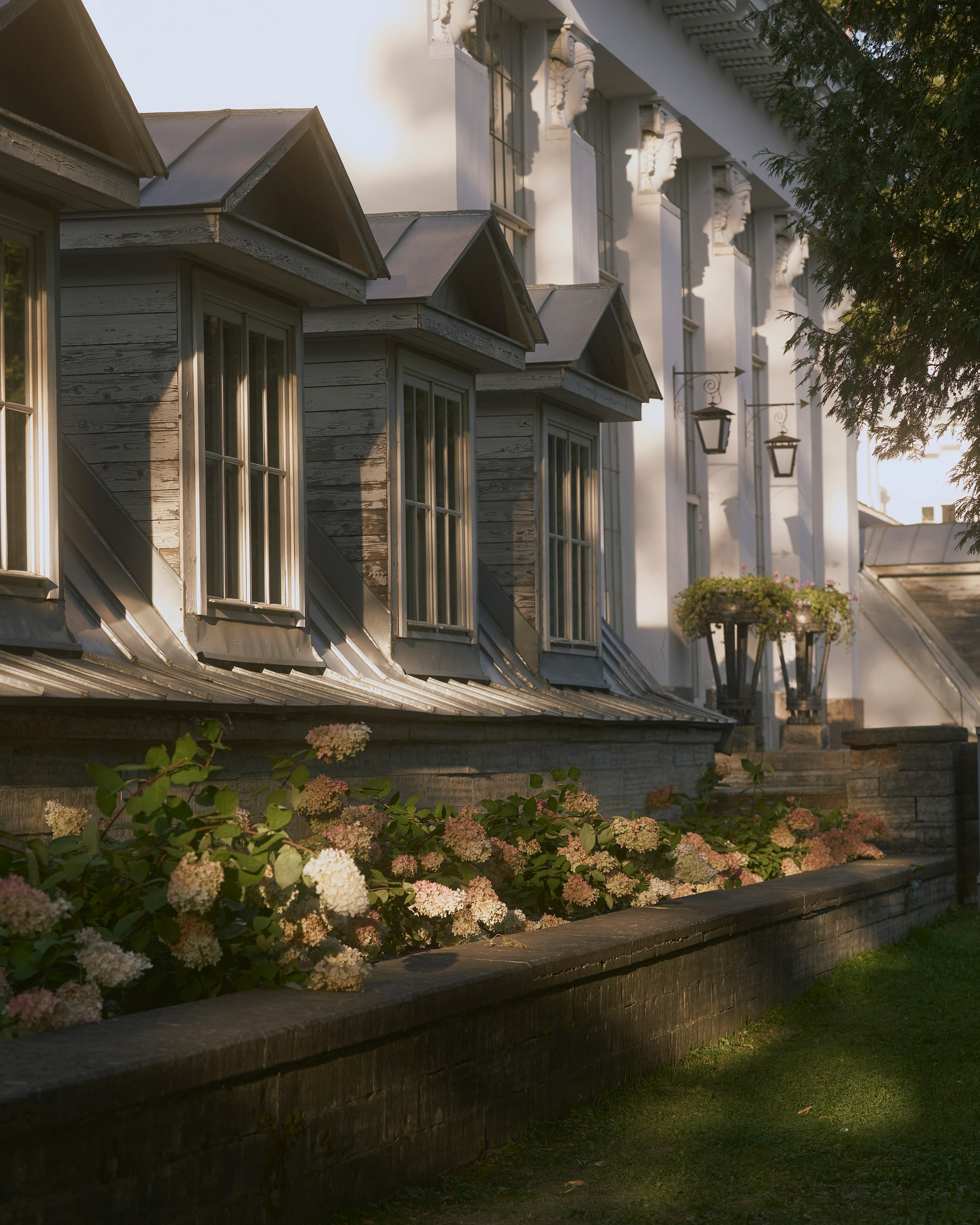 Гасанова Алина|Фотограф в Санкт-Петербурге