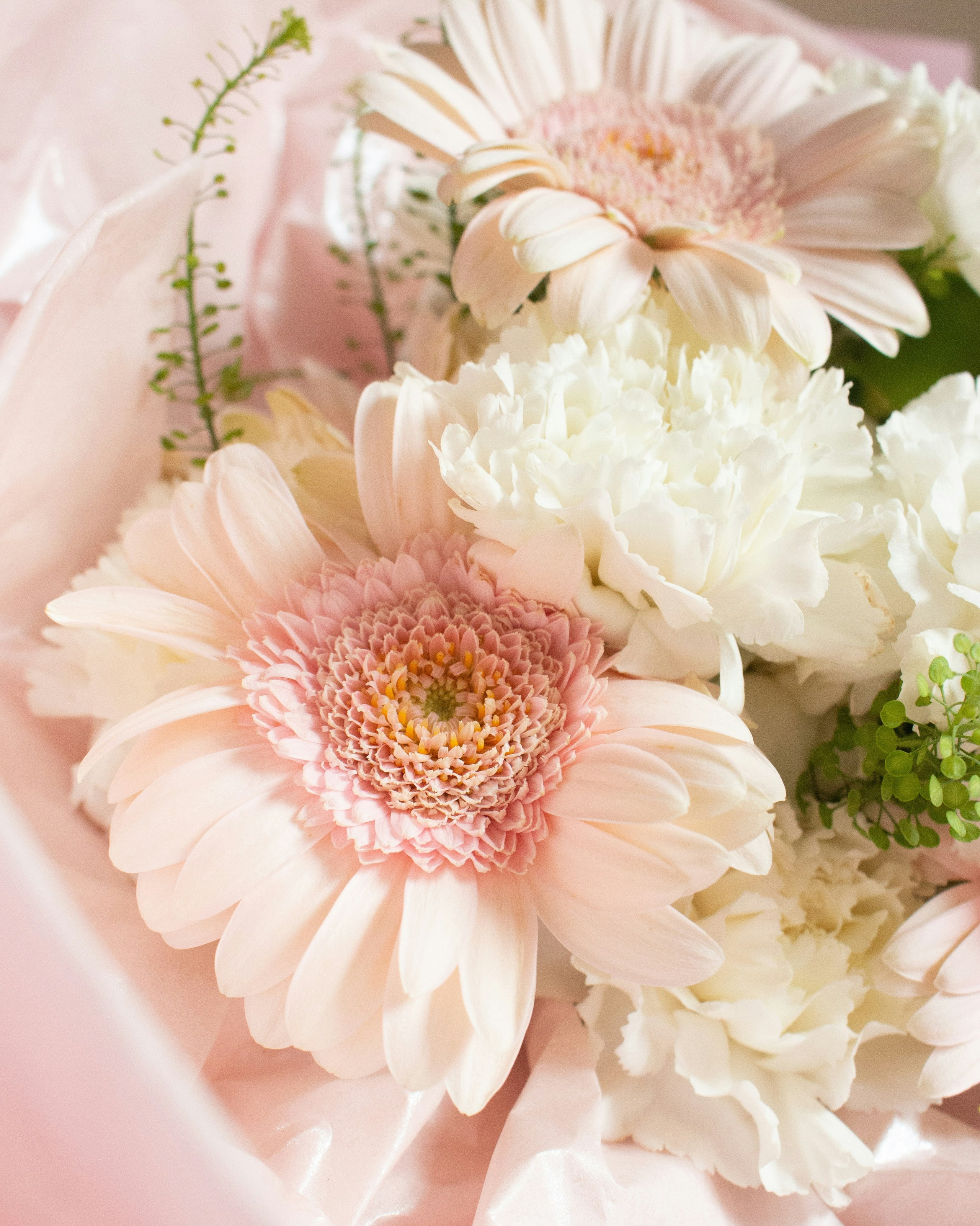 Цветочный магазин Botanica — букеты на заказ, оформление мероприятий, свадебные композиции и доставка цветов по Санкт-Петербургу. С любовью — более 8 лет.