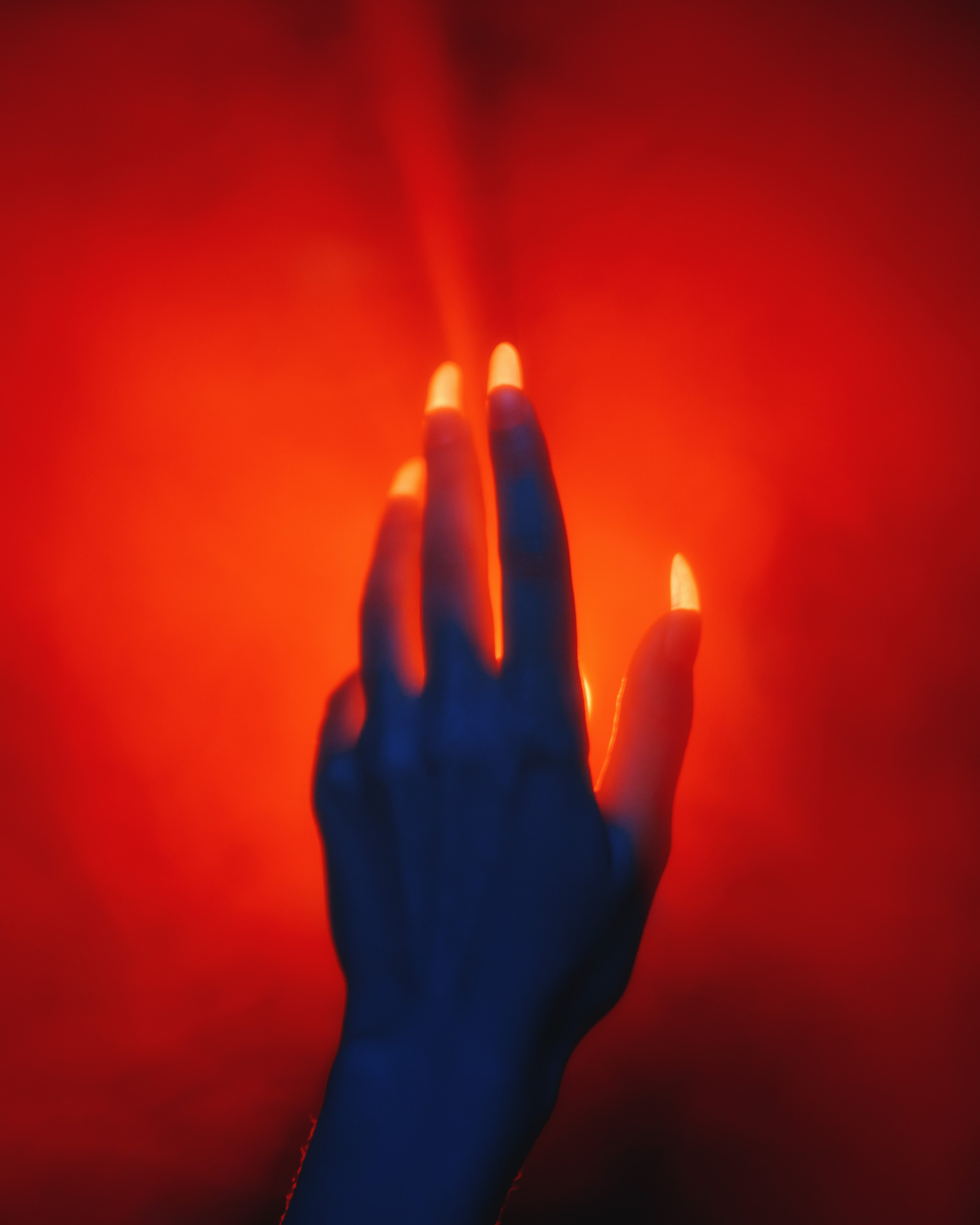 Услуги. Фотограф Барнаул Алексей Лесин