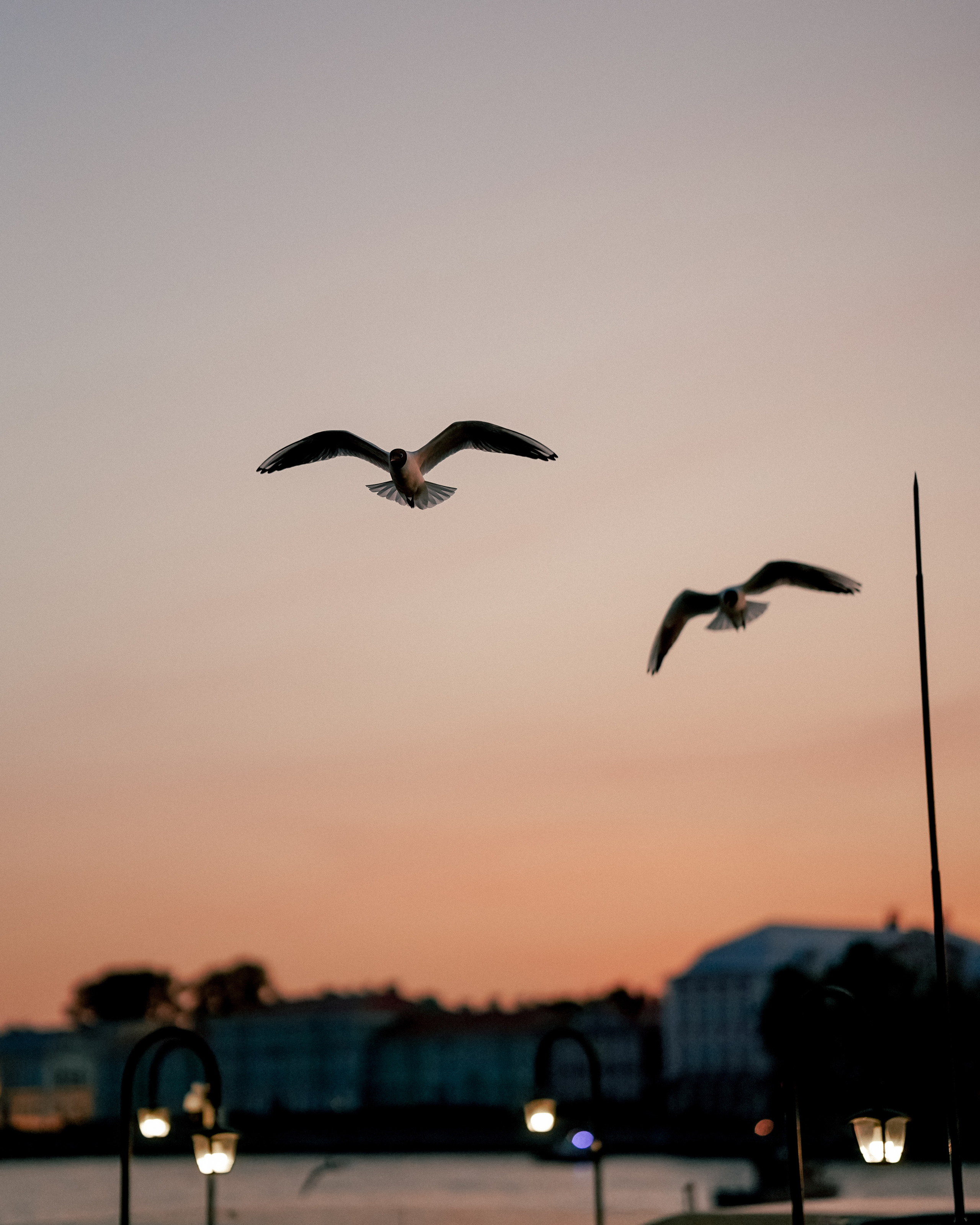 Условия (обязательно к прочтению перед записью). Фотограф Санкт-Петербург/Гомель Виктория Петрова