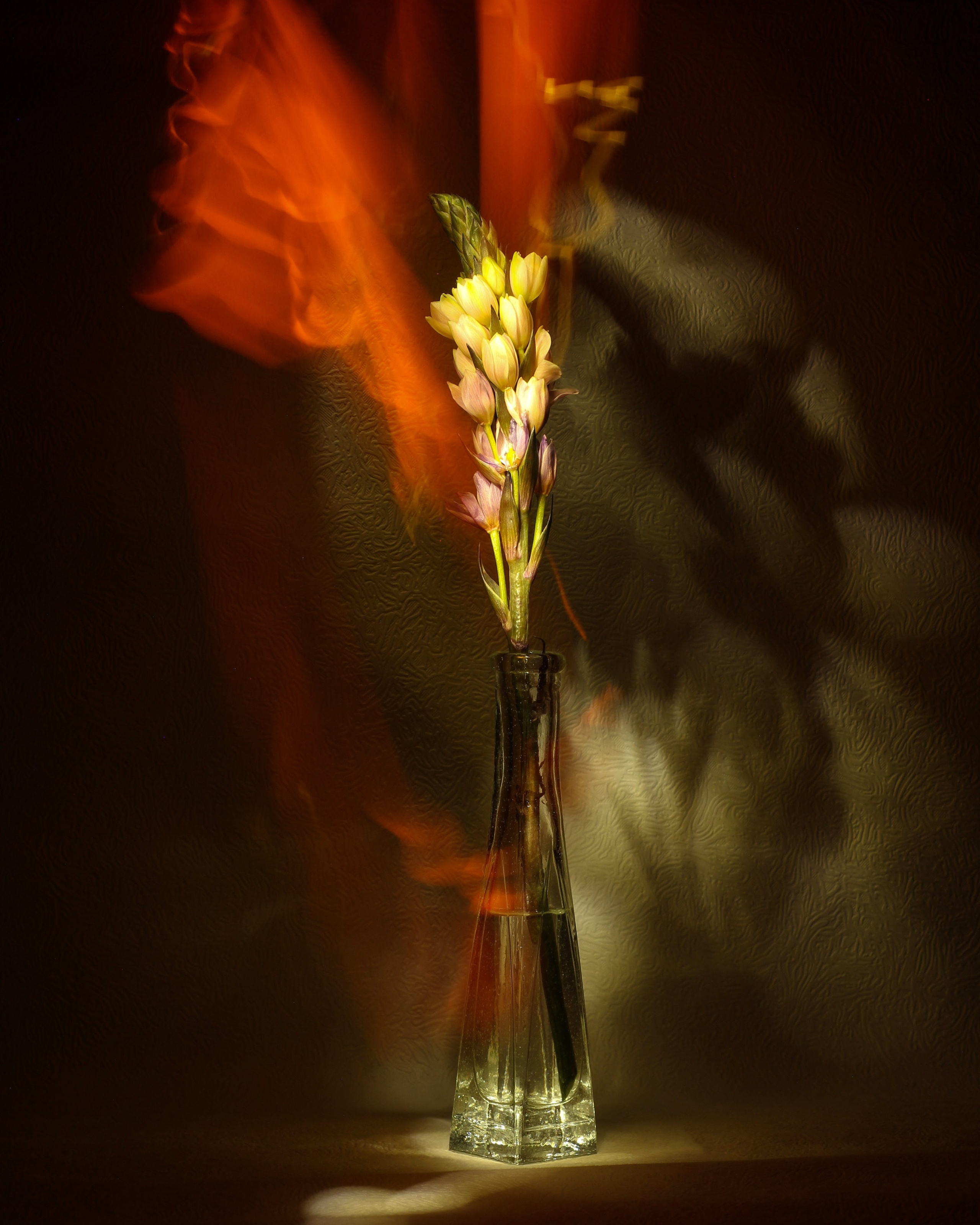 Светопись. Фотохудожник Татьяна Бойцова