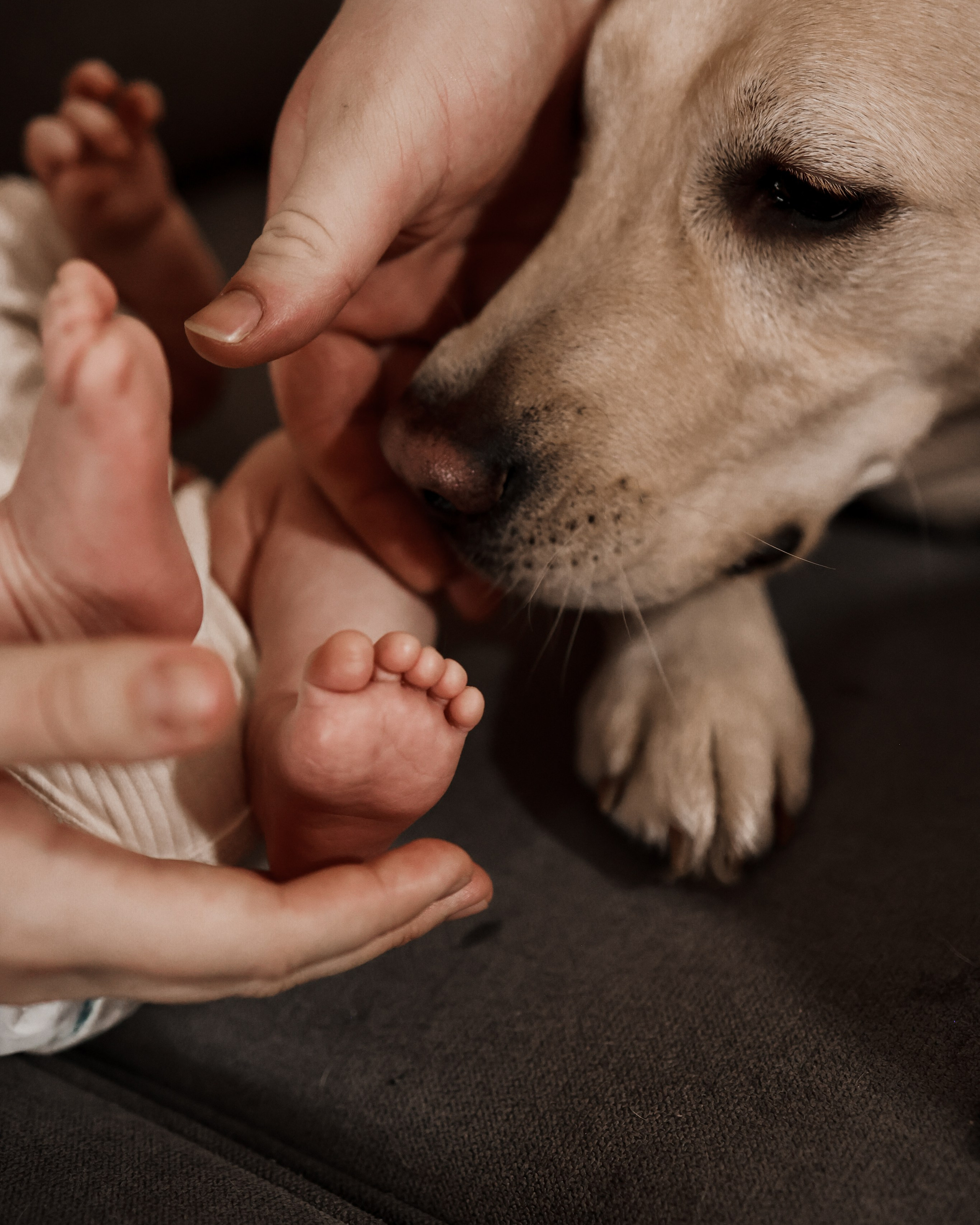 Фотограф Юлия Говор