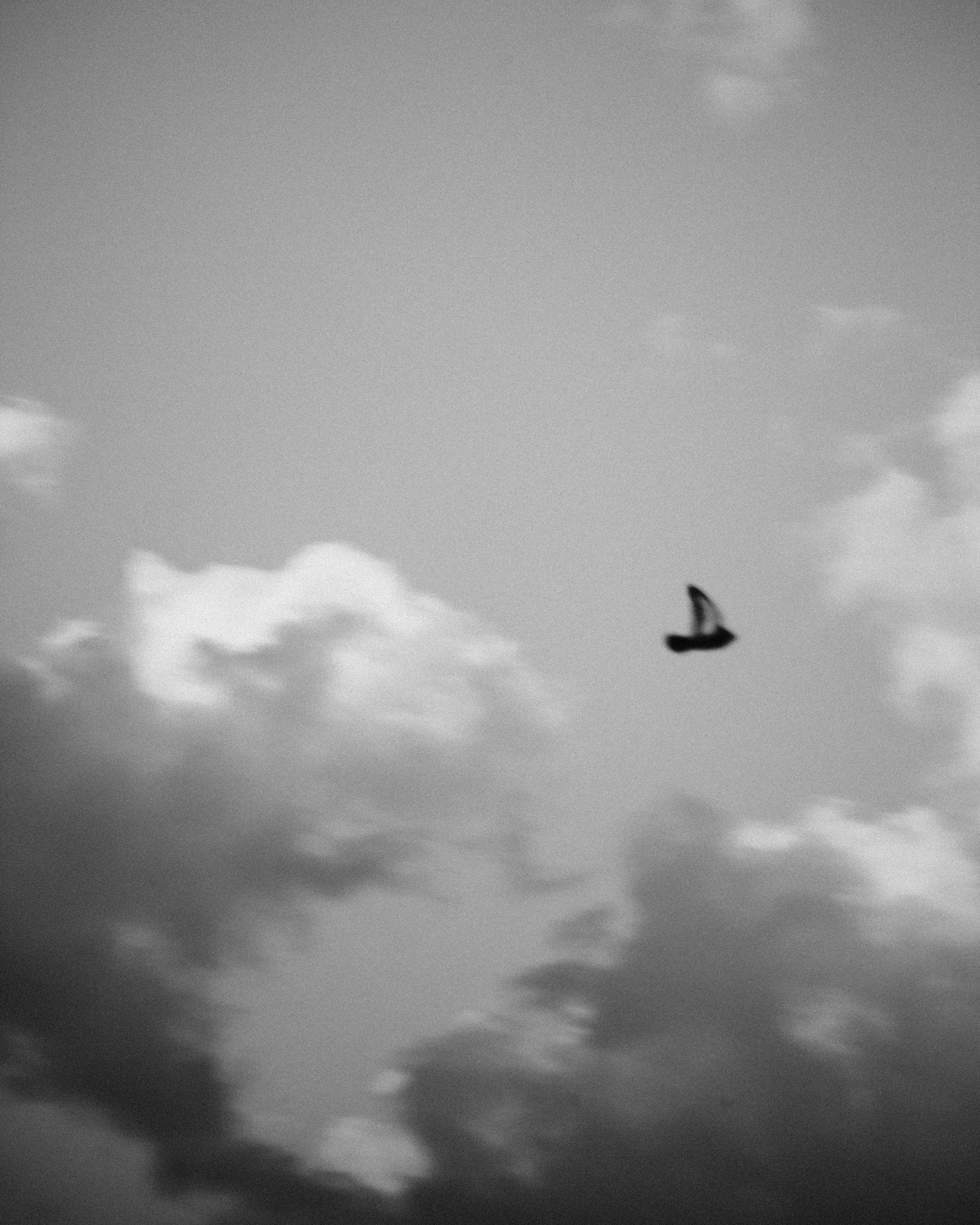 Открытки. Ostryakov Daniil Photographer