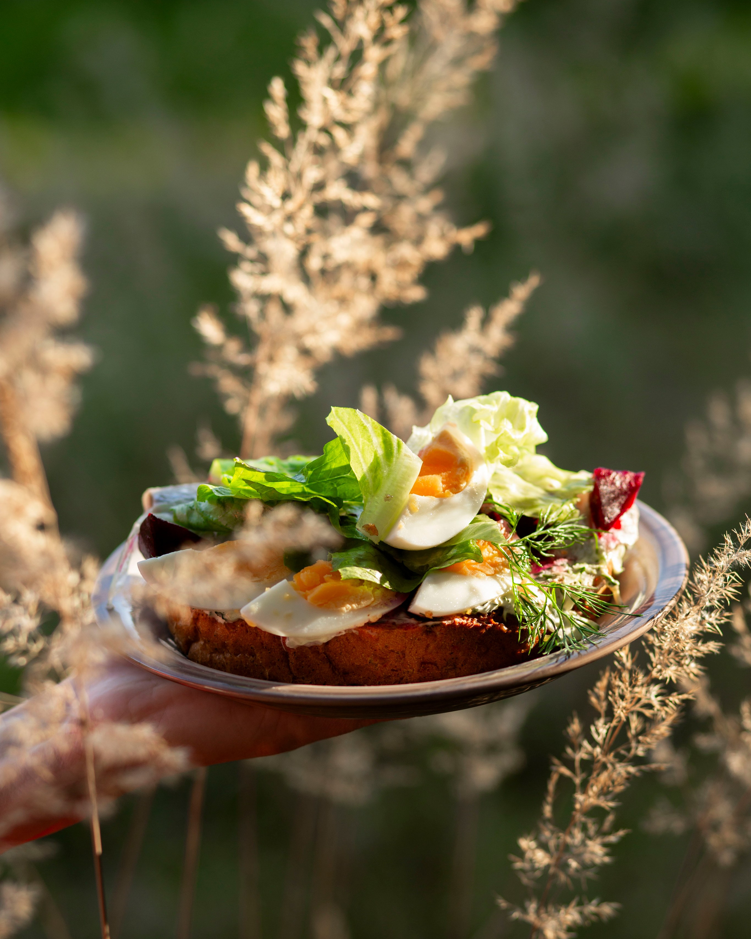 Съемка в лесу, фото пикника в лесу