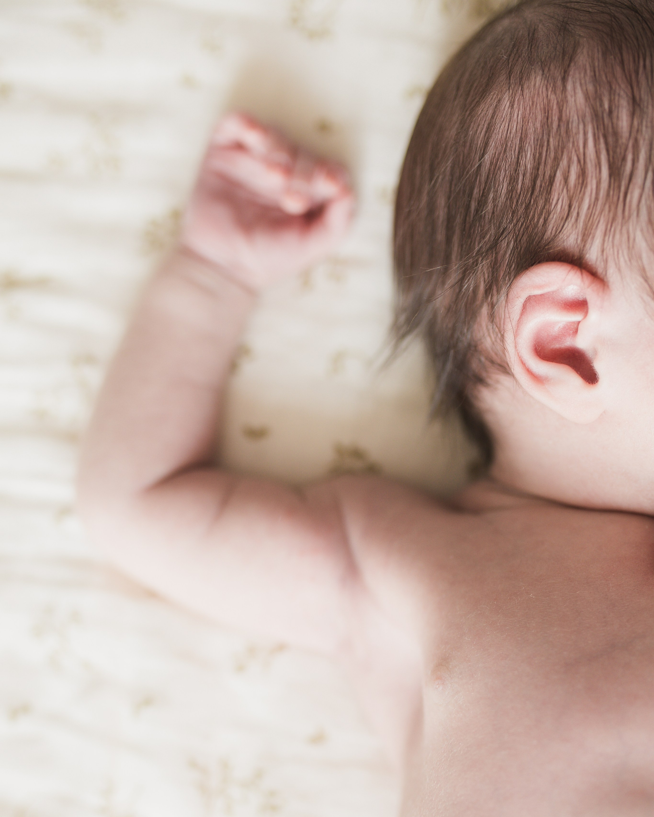 Услуги. Фотограф новорожденных в Краснодаре — Лина Верхоланцева