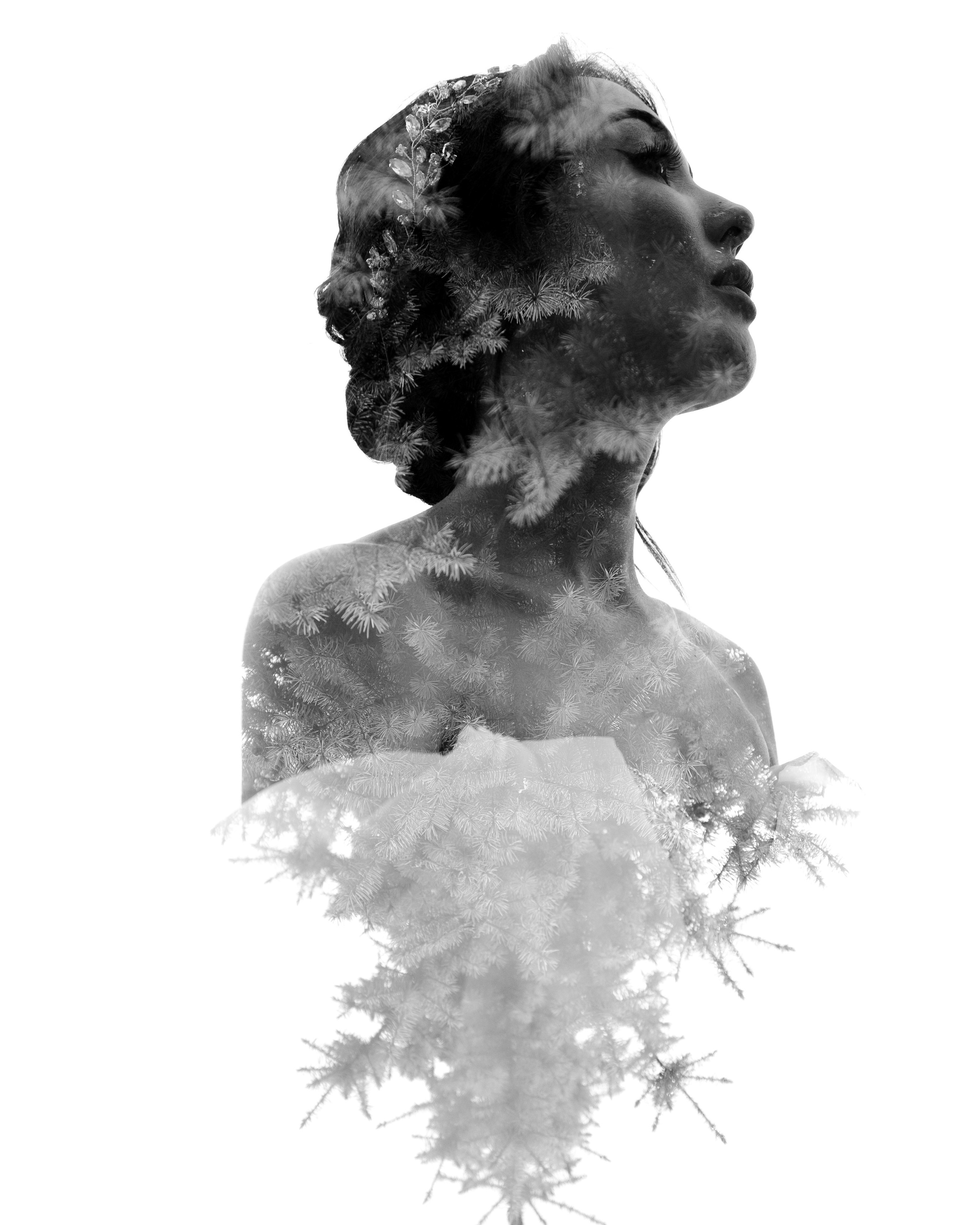 Прайс. Свадебный и семейный фотограф Динар Гильмутдинов