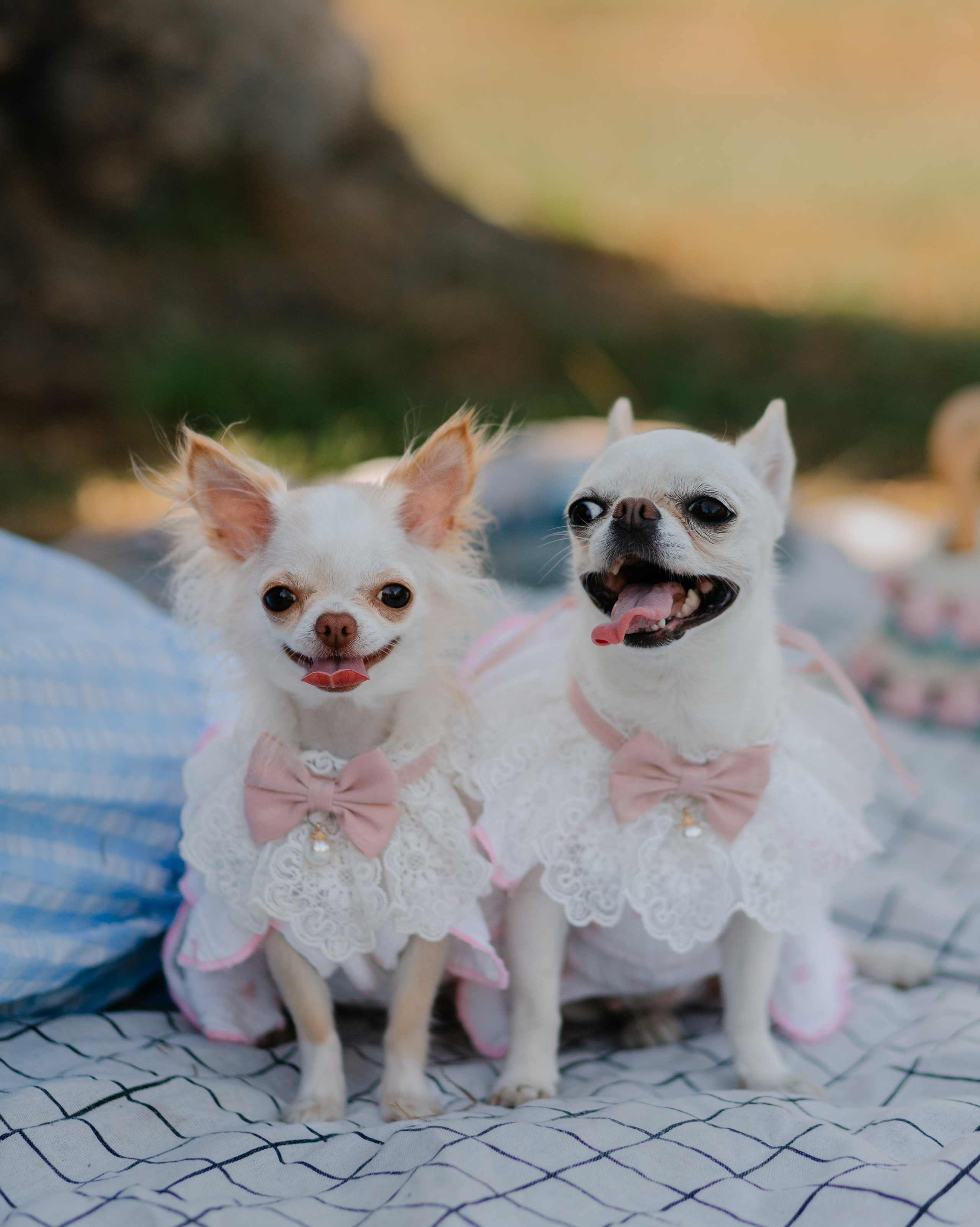 Цены. Главная