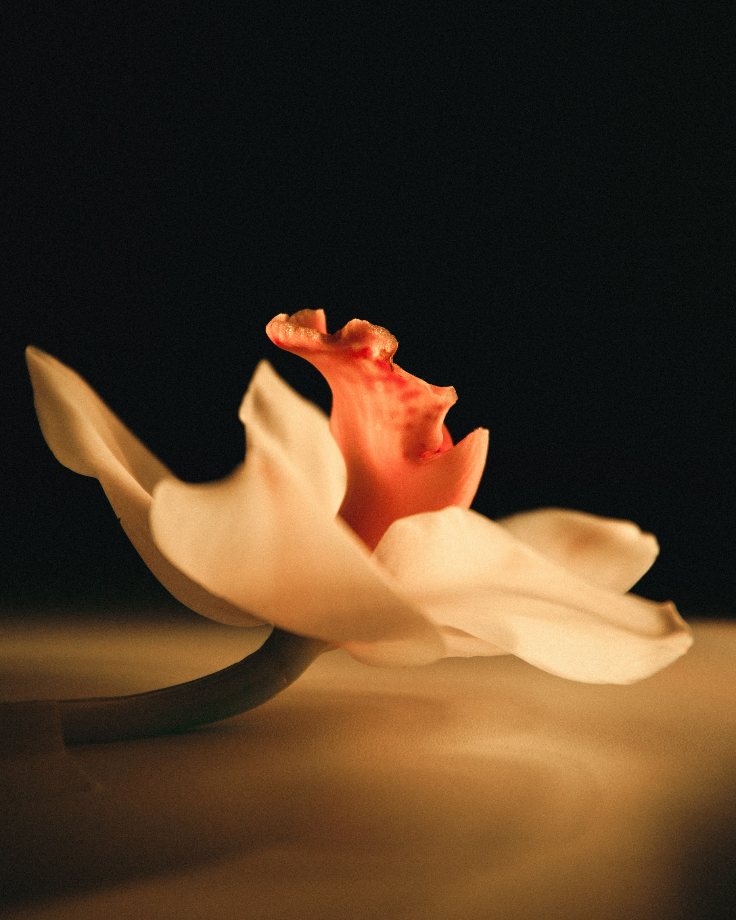 Открытки. Ostryakov Daniil Photographer