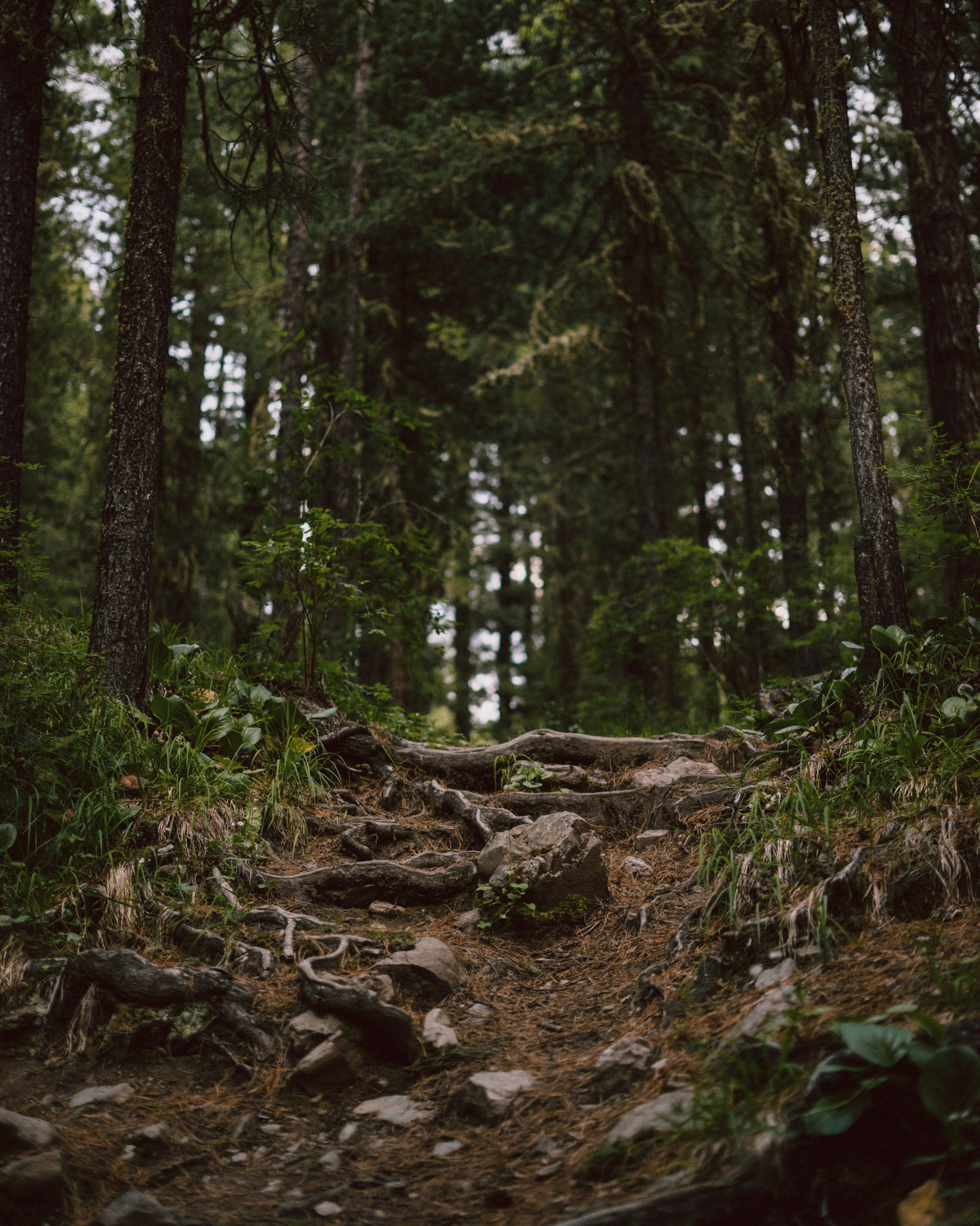 Коучинговые маршруты