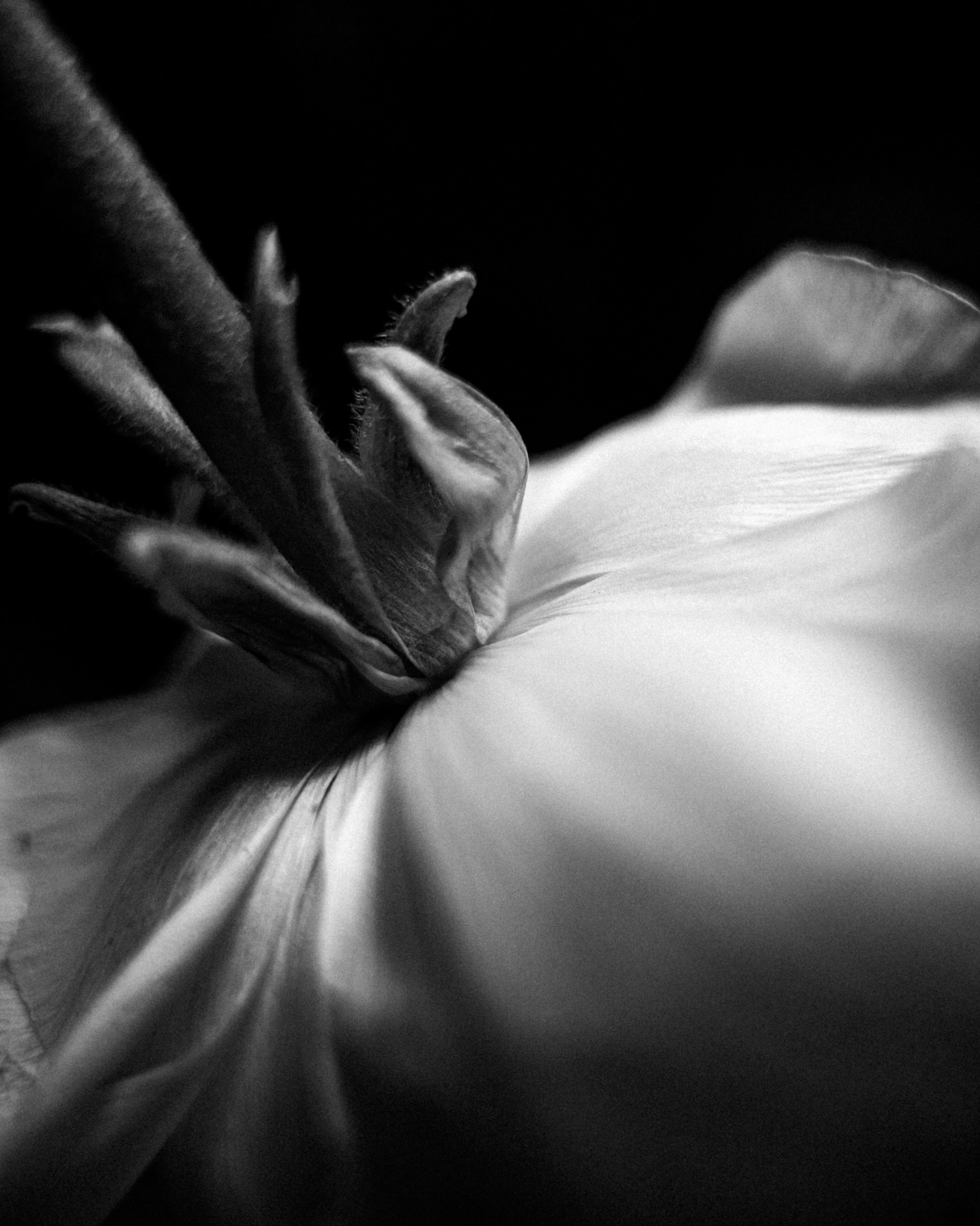 Whoisanyaa • фотограф Москва//Спб