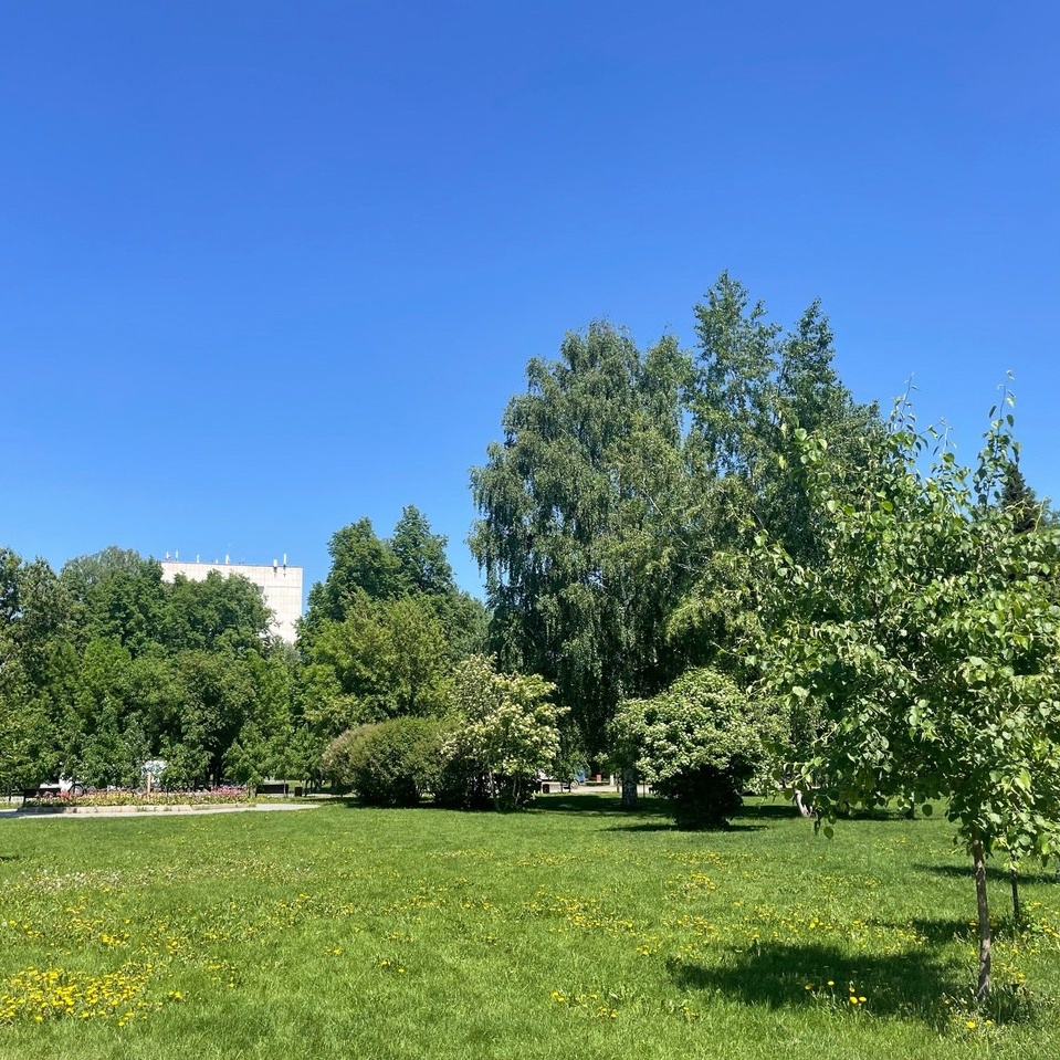 Места для фотосессий Томск