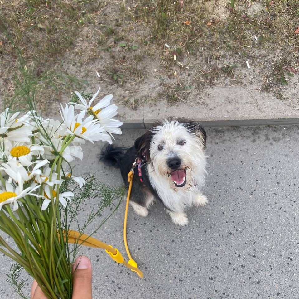 Кто такая Наташа? Команда арт-лагеря для взрослых. Творческий лагерь для взрослых